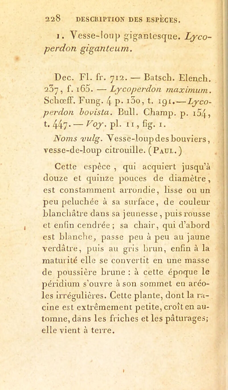 i. Vesse-lou|-> gigantesque. Lyco- perdnn giganteum. Dec. Fl. fr. 712. — Batsch. Elench. 237, f. i65. — Lycoperdon maximum. Schœff. Fung. 4 p- i3o, t. 191. — Lyco- perdon bovista. Bull. Champ, p. i54, t. 447.—Foj. pl. 11, fig. 1. Noms vulg. Yesse-loupdes bouviers, vesse-de-loup citrouille. (Paul.) Cette espèce , qui acquiert jusqu’à douze et quinze pouces de diamètre, est constamment arrondie, lisse ou un peu peluchée à sa surface, de couleur blanchâtre dans sa jeunesse , puis rousse et enfin cendrée ; sa chair, qui d’abord est blanche, passe peu à peu au jaune verdâtre, puis au gris brun, enfin à la maturité elle se convertit en une masse de poussière brune : à cette époque le péridium s’ouvre à son sommet en aréo- les irrégulières. Cette plante, dont la ra- cine est extrêmement petite, croît en au- tomne, dans les friches et les pâturages; elle vient à terre.