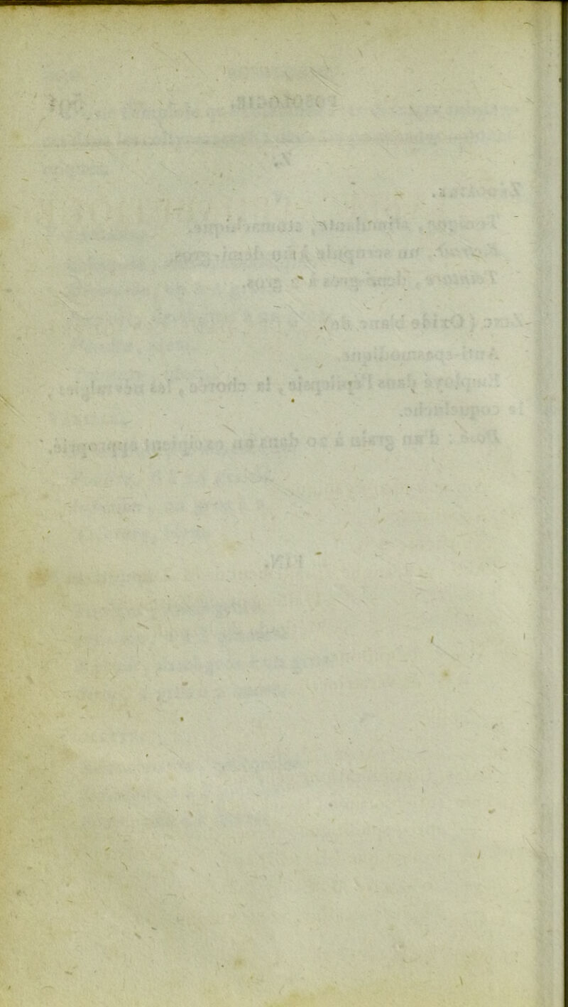 •V '<'. -frî - ./ . «i ü:'1 .\ - •* ^ »■ X i / ,f. ià' ■ . :i^-' . t r I I L W 4, - ■ >t
