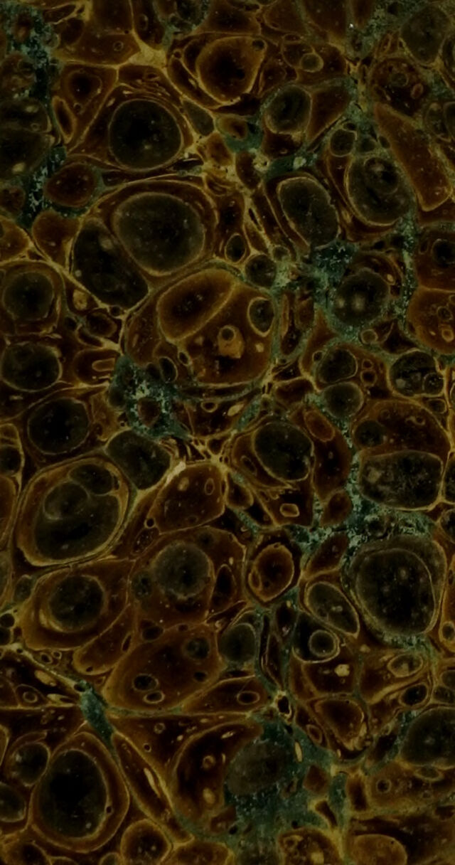 No text description is available for this image