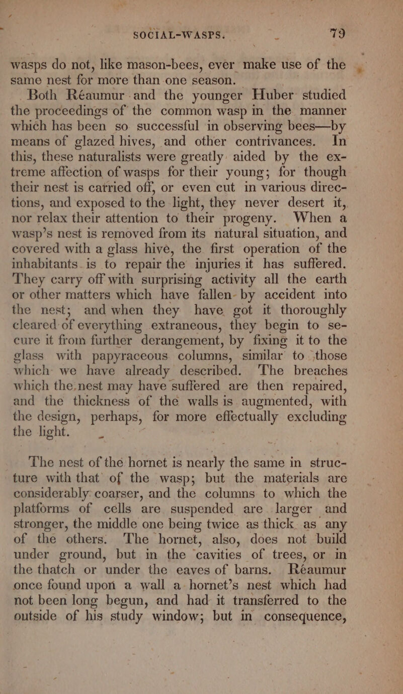 wasps do not, like mason-bees, ever make use of the same nest for more than one season. Both Réaumur and the younger Huber: studied the proceedings of the common wasp in the manner which has been so successful in observing bees—by means of glazed hives, and other contrivances. In this, these naturalists were greatly aided by the ex- treme affection of wasps for their young; for though their nest is carried off, or even cut in various direc- tions, and exposed to the light, they never desert it, nor relax their attention to their progeny. When a wasp’s nest is removed from its natural situation, and covered with a glass hive, the first operation of the inhabitants. is to repair the injuries it has suffered. They carry off with surprising activity all the earth or other matters which have fallen- by accident into the nest; and when they have got it thoroughly cleared of everything extraneous, they begin to se- cure it from further derangement, by fixing it to the glass with papyraceous. columns, similar’ to those which: we have already described. ‘The breaches which the nest may have suffered are then repaired, and the thickness of the walls is augmented, with the design, perhaps, for more coy excluding the light. The nest of the hornet is nearly the same in struc- ture with that of the wasp; but the materials are considerably: coarser, and the columns to which the platforms of cells are suspended are larger and stronger, the middle one being twice as thick as any of the others. ‘The hornet, also, does not build under ground, but in the “cavities of trees, or in the thatch or under the eaves of barns. Réaumur once found upon a wall a hornet’s nest which had not been long begun, and had: it transferred to the outside of his study window; but in consequence,