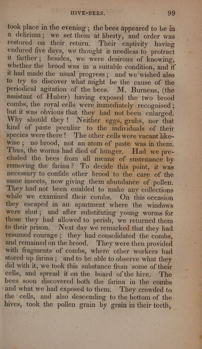 took place in the evening; the bees appeared to be in a delirium; we set them at liberty, and order was restored on their return. Their captivity having _ endured five days, we thought it needless to protract it farther; besides, we were desirous of knowing, whether the brood was in a suitable condition, and if it had made the usual ‘progress ;. and we’wished also to try to discover what might be the cause of the Periodical agitation of the bees. M.-Burnens, (the assistant of Huber) having exposed the two brood combs, the royal cells were immediately recognised ; but it was obvious that they had not been enlarged. Why should they! Neither eges, grubs, nor that kind of paste peculiar to the individuals of their species were there! The other cells were vacant like- wise; no brood, not an atom of paste was in them. Thus, the worms had died of hunger. Had we pre- cluded the bees from all means of sustenance by removing the farina? To decide this point, it was necessary to confide other brood to the care of the same insects, now giving them abundance of pollen. They had not been enabled to make any collections while we examined their combs. On this occasion they escaped in an apartment where the windows were shut; and after substituting young worms for those they had allowed to perish, we returned them to their prison. Next. day we remarked that they had resumed courage ; they had consolidated the combs, and remained on the brood, They were then provided with fragments of combs, where other workers had stored up farina; ‘and to be able to observe what they did with it, we took this substance from. some of their cells, and spread it on the board of the hive. The bees soon discovered both the farina in the combs and what we had exposed to them. They crowded to the cells, and also descending to the bottom of the hives, took the pollen grain by grain in their teeth, —