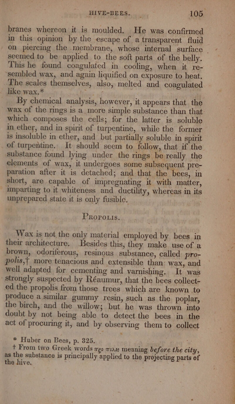 branes whereon it is moulded. He was confirmed in this opinion by the escape of a transparent fluid on piercing the membrane, whose internal surface _ seemed to be applied to the soft parts of the belly. This he found coagulated in cooling, when it re- ‘sembled wax, and again liquified on exposure to heat. The scales themselves, also, melted and coagulated like wax.* by By chemical analysis, however, it appears that the wax of the rings is a_more simple substance than that: which. composes the cells; for the latter is soluble in ether, and in spirit of turpentine, while the former is insoluble in ether, and but partially soluble in spirit _ of turpentine.. It should seem to follow, that if the substance found lying under the rings be really the elements of wax, it undergoes some subsequent pre- paration after it is detached; and that the bees, in short, are capable of impregnating it with matter, imparting to it whiteness and ductility, whereas in its unprepared state it is only fusible. : Propouis. Wax is not the only material employed by bees in their architecture. Besides this, they make. use of a brown, odoriferous, resinous substance, called pro- polis,{ more-tenacious and extensible than: wax, and well adapted for. cementing and varnishing. It was Strongly suspected by Réaumur, that the bees collect- ed the propolis from those trees which are known to produce a similar gummy resin, such as the poplar, the birch, and the willow; but he was thrown into doubt by not being able to detect the bees in the act of procuring it, and by observing them to collect * Huber on Bees, p. 325. t From two Greek words weo wons meaning before the city, as the substance is principally applied to the projecting parts of the hive. :