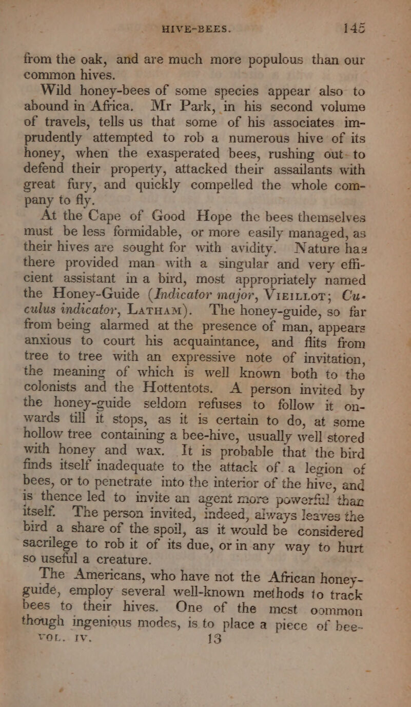 from the oak, and are much more populous than our common hives. Wild honey-bees of some species appear also to abound in Africa. Mr Park, in his second volume of travels, tells us that some of his associates im- prudently attempted to rob a numerous hive of its honey, when the exasperated bees, rushing out~to defend their property, attacked their assailants with great fury, and quickly compelled the whole com- pany to fly. At the Cape of Good Hope the bees themselves must be less formidable, or more easily managed, as their hives are sought for with avidity. Nature hag there provided man with a singular and very effi- cient assistant in a bird, most appropriately named the Honey-Guide (Indicator major, Viziti0oT; Cu- culus indicator, Laruam). The honey-guide, so far from being alarmed at the presence of man, appears anxious to court his acquaintance, and flits from tree to tree with an expressive note of invitation, the meaning of which is well known both to the colonists and the Hottentots. A person invited by the honey-guide seldom refuses to follow it on- wards till it stops, as it is certain to do, at some hollow tree containing a bee-hive, usually well stored with honey and wax. It is probable that the bird finds itself inadequate to the attack of a legion of bees, or to penetrate into the interior of the hive, and is thence led to invite an agent more powerfa! than itself. The person invited, indeed, always leaves the ird a share of the spoil, as it would be considered sacrilege to rob it of its due, orin any way to hurt so useful a creature. The Americans, who have not the African honey- guide, employ several well-known methods to track bees to their hives. One of the mest oommon though ingenious modes, is to place a piece of bee-