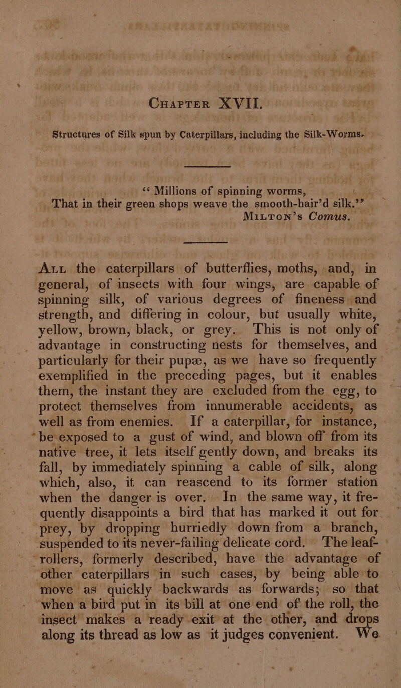 Cuarrer XVIL. Structures of Silk spun by Caterpillars, including the Silk-Worms- ‘&lt;* Millions of spinning worms, That in their green shops weave the smooth-hair’d silk.’” MiiTon’s Comus. Aut the caterpillars of butterflies, moths, and, in general, of insects with four wings, are capable of spinning silk, of various degrees of fineness and strength, and differing in colour, but usually white, advantage in constructing nests for themselves, and particularly for their pupze, as we have so frequently exemplified in the preceding pages, but it enables them, the instant they are excluded from the egg, to protect themselves from innumerable accidents, as well as from enemies. If a caterpillar, for instance, “be exposed to a gust of wind, and blown off from its native tree, it lets itself gently down, and breaks its fall, by immediately spinning a cable of silk, along which, also, it can reascend to its former station when the danger is over. In the same way, it fre- quently disappoints a bird that has marked it out for prey, by dropping hurriedly down from a branch, suspended to its never-failing delicate cord. The leaf- “rollers, formerly described, have the advantage of other caterpillars in such cases, by being able to move as quickly backwards as forwards; so that when a bird put in its bill at one end of the roll, the insect makes a ready exit at the other, and drops along its thread as low as it judges convenient. We