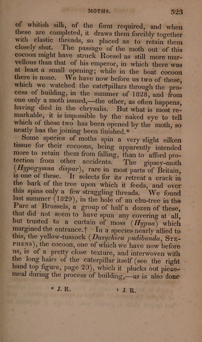 MOTHs. (823 of whitish silk, of the forni tequired, and when these are completed, it draws them forcibly together with elastic threads, so placed as to retain them closely shut. The passage of the moth out of this cocoon might have struck Roesel as still more mar- vellous than that of his emperor, in which there was at least a small opening; while in the boat cocoon there is none. We have now before us two of these, which we watched the catetpillars through the pro- cess of building, in the summer of 1828, and from one only a moth issued,—the other, as often happens, having died in the chrysalis. But what is most re- markable, it is impossible by the naked eye to tell which of these two has been opened by the moth, so neatly has the joining been finished.* Some species of moths spin a very slight silken tissue for their cocoons, being apparently intended more to retain them from falling, than to ‘afford pro- tection from other accidents. The gipsey-moth (Hypogymna dispar), rare in most parts of Britain, is one of these. It selects for its retreat a crack in the bark of the tree upon which it feeds, and over this spins only a few straggling threads. We found last summer (1829), in the hole of an elm-tree in the Parc at Brussels, a group of half a dozen of these, that did not seem to have spun any covering at all, but trusted to a curtain of moss (Hypna) which margined the entrance.t In a species nearly allied to this, the yellow-tussock (Dasychira pudibunda, Stx- PHENS), the cocoon, one of which we have now before us, is of a prefty close texture, and interwoven with the long hairs of the caterpillar itself (see the right hand top figure, page 20), which it plucks out piece- meal during the process of building,—as is also done * J.R. * JR.