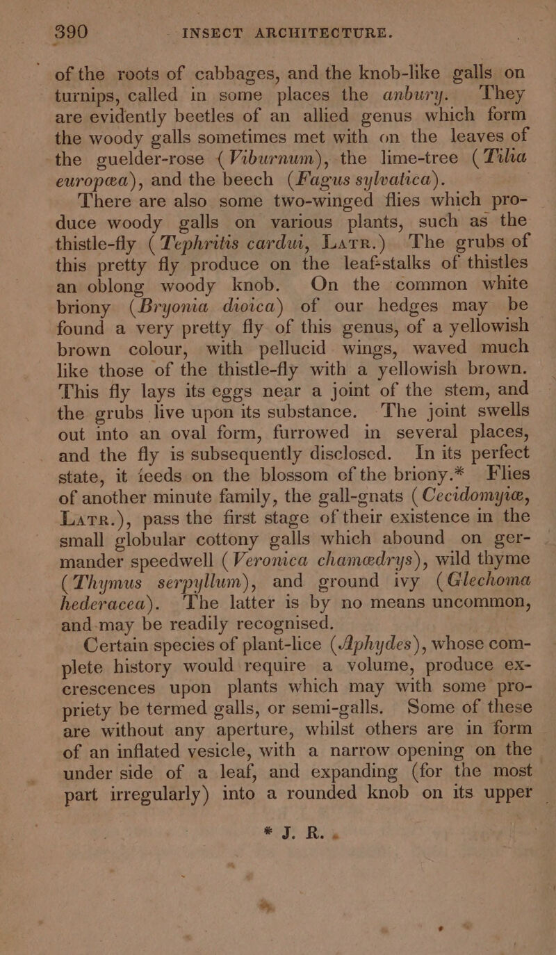 of the roots of cabbages, and the knob-like galls on turnips, called in some places the anbury. They are evidently beetles of an allied genus which form the woody galls sometimes met with on the leaves of the guelder-rose (Viburnum), the lime-tree (Tiha europea), and the beech (Fagus sylvatica). There are also some two-winged flies which pro- _ duce woody galls on various plants, such as the thistle-fly (Tephritis cardui, Larr.) The grubs of this pretty fly produce on the leaftstalks of thistles an oblong woody knob. On the common white briony (Bryonia dioica) of our hedges may be found a very pretty fly of this genus, of a yellowish brown colour, with pellucid wings, waved much like those of the thistle-fly with a yellowish brown. This fly lays its eggs near a joint of the stem, and the grubs live upon its substance. The joint swells out into an oval form, furrowed in several places, and the fly is subsequently disclosed. In its perfect state, it ieeds on the blossom of the briony.* Flies of another minute family, the gall-enats ( Cecidomyie, Larr.), pass the first stage of their existence mm the small globular cottony galls which abound on ger- mander speedwell (Veronica chamedrys), wild thyme (Thymus serpyllum), and ground ivy (Glechoma hederacea). The latter is by no means uncommon, and-may be readily recognised. 7 Certain species of plant-lice (phydes), whose com- plete history would require a volume, produce ex- crescences upon plants which may with some pro- priety be termed galls, or semi-galls. Some of these are without any aperture, whilst others are in form | of an inflated vesicle, with a narrow opening on the under side of a leaf, and expanding (for the most part irregularly) into a rounded knob on its upper —