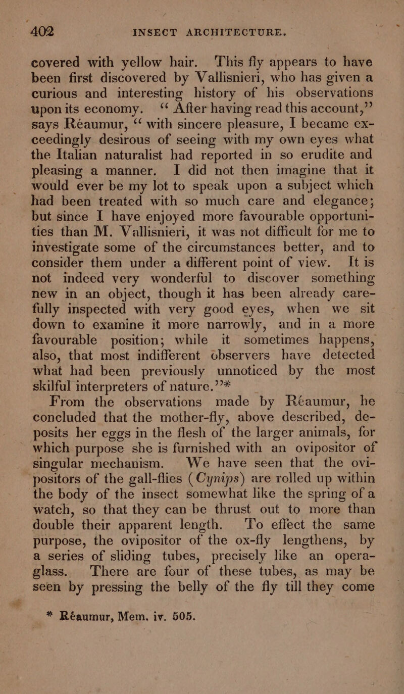 covered with yellow hair. This fly appears to have been first discovered by Vallisnieri, who has given a curious and interesting history of his observations uponits economy. ‘‘ After having read this account,” says Réaumur, ‘ with sincere pleasure, I became ex- ceedingly desirous of seeing with my own eyes what the Italian naturalist had reported in so erudite and pleasing a manner. I did not then imagine that it would ever be my lot to speak upon a subject which had been treated with so much care and elegance; but since I have enjoyed more favourable opportuni- ties than M. Vallisnieri, it was not difficult for me to investigate some of the circumstances better, and to consider them under a different point of view. It is not indeed very wonderful to discover something new in an object, though it has been already care- fully inspected with very good eyes, when we sit down to examine it more narrowly, and in a more favourable position; while it sometimes happens, also, that most indifferent observers have detected what had been previously unnoticed by the most skilful interpreters of nature.”’* —__ From the observations made by Réaumur, he concluded that the mother-fly, above described, de- posits her eggs in the flesh of the larger animals, for which purpose she is furnished with an ovipositor of singular mechanism. We have seen that the ovi- positors of the gall-flies (Cynips) are rolled up within the body of the insect somewhat like the spring of a watch, so that they can be thrust out to more than double their apparent length. To effect the same purpose, the ovipositor of the ox-fly lengthens, by a series of sliding tubes, precisely like an opera- glass. There are four of these tubes, as may be seen by pressing the belly of the fly till they come * Réaumur, Mem. iv. 505.