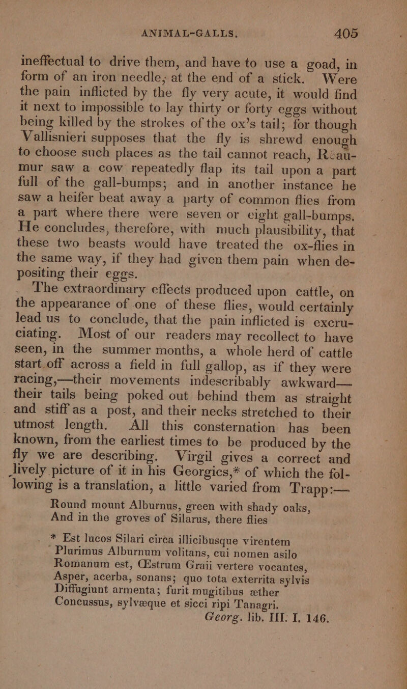 ineffectual to drive them, and have to use a goad, in form of an iron needle, at the end of a stick. Were the pain inflicted by the fly very acute, it would find it next to impossible to lay thirty or forty eggs without being killed by the strokes of the ox’s tail; for though Vallisnieri supposes that the fly is shrewd enough to choose such places as the tail cannot reach, Réau- mur saw a cow repeatedly flap its tail upon a part full of the gall-bumps; and in another instance he saw a heifer beat away a party of common flies from a part where there were seven or eight gall-bumps. He concludes, therefore, with much plausibility, that these two beasts would have treated the ox-flies in the same way, if they had given them pain when de- positing their eggs. The extraordinary effects produced upon cattle, on the appearance of one of these flies, would certainly lead us to conclude, that the pain inflicted is excru- ciating. Most of our readers may recollect to have seen, in the summer months, a whole herd of cattle start.off across a field in full gallop, as if they were racing,—their movements indescribably awkward— their tails being poked out behind them as straight and stiffas a post, and their necks stretched to their utmost length. All this consternation has been known, from the earliest times to be produced by the fly we are describing. Virgil gives a correct and lowing is a translation, a little varied from Trapp:— Round mount Alburnus, green with shady oaks, And in the groves of Silarus, there flies _ * Est lucos Silari circa illicibusque virentem -Plurimus Alburnum volitans, cui nomen asilo Romanum est, (strum Graii vertere vocantes, Asper, acerba, sonans; quo tota exterrita sylvis Diffugiunt armenta; furit mugitibus ether Concussus, sylveque et. sicci ripi Tanagri. Georg. lib. III: I. 146. OD OO Sg ee Oe Oe ee ee