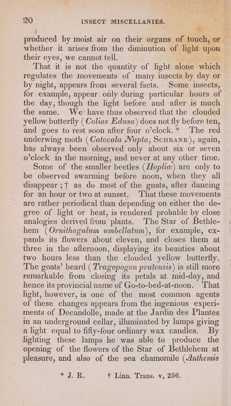 podaced by moist air on their organs of iatient whether it arises from the diminution of oe upon ; their eyes, we cannot tell. san! That it is not the quantity of light alone which regulates the movements of many insects by day or by night, appears from several facts. Some insects, for example, appear only during particular hours of the day, though the light before and after is much the same. We’ have thus observed that the clouded yellow butterfly (Colas Edusa) does not fly before ten, and goes to rest soon after four o’clock.* The red underwing moth (Catocala Nupta, ScuraNxK), again, has always been observed only about six or seven o’clock in the morning, and never at any other time. Some of the smaller beetles (Hopliw) are only to be observed swarming before noon, when they all disappear ;7 as do most of the gnats, after dancing © for an hour or two at sunset. That these movements are rather periodical than depending on either the de- gree of light or heat, is rendered probable by close analogies derived from plants. The Star of Bethle- hem (Ornithogalum umbellatum), for example, ex- pands its flowers about eleven, and closes them at three in the afternoon, displaying its beauties about two hours less than the clouded yellow butterfly. The goats’ beard ( Tragopogon pratensis) is still more remarkable from closing its petals at mid-day, and hence its provincial name of Go-to-bed-at-noon. That light, however, is one of the most common agents of these changes appears from the ingenious experi- ments of Decandolle, made at the Jardin des Plantes in an underground cellar, illuminated by lamps giving a light equal to fifty-four ordinary wax candles. By lighting these lamps he was able to produce the opening of the flowers of the Star of Bethlehem at pleasure, and also of the sea chamomile (Anthems id feo han +t Linn. Trans. v, 256.