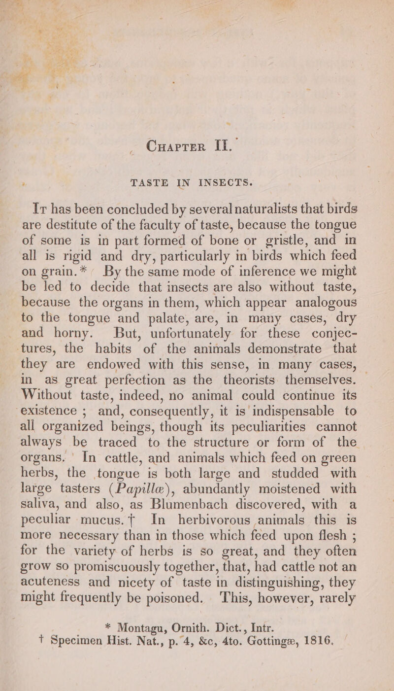 % Cuaprer If. cs TASTE IN INSECTS. Ir has been concluded by several naturalists that birds are destitute of the faculty of taste, because the tongue of some is in part formed of bone or gristle, and in all is rigid and dry, particularly in birds which feed on grain.* By the same mode of inference we might be led to decide that insects are also without taste, because the organs in them, which appear analogous to the tongue and palate, are, in many cases, dry and horny. But, unfortunately for these conjec- tures, the habits of the animals demonstrate that they are endowed with this sense, in many cases, in as great perfection as the theorists. themselves. — Without taste, indeed, no animal could continue its existence ; and, consequently, it is’ indispensable to all organized beings, though its peculiarities cannot always be traced to the structure or form of the organs. ' In cattle, and animals which feed on green herbs, the tongue is both large and studded with large tasters (Papille), abundantly moistened with saliva, and also, as Blumenbach discovered, with a peculiar mucus.t In herbivorous animals this is more necessary than in those which feed upon flesh ; for the variety of herbs is so great, and they often grow so promiscuously together, that, had cattle not an acuteness and nicety of taste in distinguishing, they might frequently be poisoned. This, however, rarely : * Montagu, Ornith. Dict., Intr. + Specimen Hist. Nat., p..4, &amp;c, 4to. Gottinge, 1816.