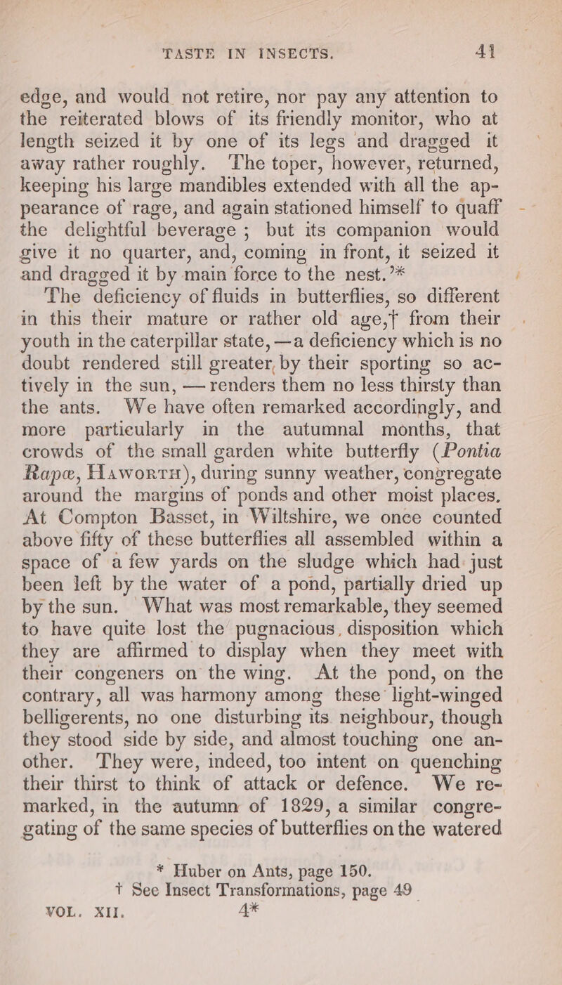 edge, and would not retire, nor pay any attention to the reiterated blows of its friendly monitor, who at length seized it by one of its legs and dragged it away rather roughly. ‘The toper, however, returned, keeping his large mandibles extended with all the ap- pearance of rage, and again stationed himself to quaff - the delightful beverage ; but its companion would give it no quarter, and, coming in front, it seized it and dragged it by main force to the nest.’* The deficiency of fluids in butterflies, so different in this their mature or rather old age,f from their youth in the caterpillar state, —a deficiency which is no doubt rendered still greater, by their sporting so ac- tively in the sun, — renders them no less thirsty than the ants. We have often remarked accordingly, and more particularly in the autumnal months, that crowds of the small garden white butterfly (Ponta Rape, Haworrn), during sunny weather, congregate around the margins of ponds and other moist places. At Compton Basset, in Wiltshire, we once counted above fifty of these butterflies all assembled within a space of a few yards on the sludge which had. just been left by the water of a pond, partially dried up by the sun. What was most remarkable, they seemed to have quite lost the pugnacious, disposition which they are affirmed to display when they meet with their congeners on the wing. At the pond, on the contrary, all was harmony among these’ light-winged belligerents, no one disturbing its. neighbour, though they stood side by side, and almost touching one an- other. ‘They were, indeed, too intent on quenching their thirst to think of attack or defence. We re- marked, in the autumn of 1829, a similar congre- gating of the same species of butterflies on the watered * Huber on Ants, page 150. Tt See Insect Transformations, page 49