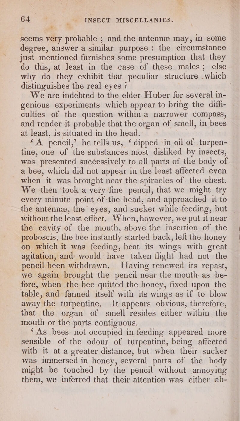.~% seems very probable ; and the antenne may, in some degree, answer a similar purpose : the circumstance just mentioned furnishes some presumption that they do this, at least in the case of these males; else why do they exhibit that peculiar structure which distinguishes the real eyes ? , We are indebted to the elder Huber for several in- genious experiments which appear to bring the diffi- culties of the question within a narrower compass, and render it probable that the organ of smell, in bees at least, is ‘situated in the head. &gt; ‘A pencil,’ he tells us, ‘ dipped -in oil of _ turpen- tine, one of the substances most disliked by insects, was presented successively to all parts of the body of a bee, which did not appear in the least affected even when it was brought near the spiracles of. the chest. We then ‘took a very fine pencil, that we might try every minute point of the head, and approached it to the antenne, the eyes, and sueker while feeding, but without the least effect. When, however, we put it near the cavity of the mouth, above the insertion of the proboscis, the bee ins stantly started back, left the honey on which it was feeding, beat its wings with great agitation, and would have taken flight had not. the pencil been withdrawn. Having renewed its repast, we again brought the: pencil near the mouth as _be- fore, when the bee quitted the honey, fixed upon the table, and fanned itself with its wings as if to blow away the turpentine. It appears obvious, therefore, that the organ of smell resides either within the mouth or the parts contiguous. ‘As bees not occupied in feeding appeared more sensible of the odour of turpentine, being affected with it at a greater distance, but when their sucker was immersed in honey, several parts of the body might be touched by the pencil without annoying them, we inferred that their attention was either ab-