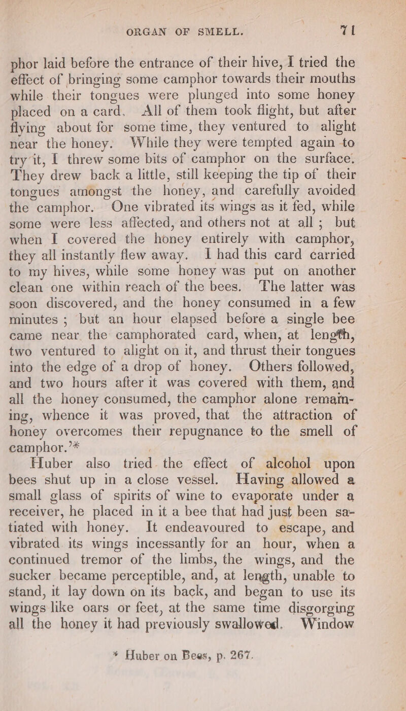 phor laid before the entrance of their hive, I tried the effect of bringing some camphor towards their mouths while their tongues were plunged into some honey placed onacard, All of them took flight, but after flying about for some time, they ventured to alight near the honey. While they were tempted again to try it, | threw some bits of camphor on the surface. They drew back a little, still keeping the tip of their tongues amongst the honey, and carefully avoided the camphor. One vibrated its wings as it fed, while some were less affected, and others not at all; but when I covered the honey entirely with camphor, they all instantly flew away. I had this card carried to my hives, while some honey was put on another clean one within reach of the bees. ‘The latter was soon discovered, and the honey consumed in a few minutes ; but an hour elapsed before a single bee came near. the camphorated card, when, at length, two ventured to alight on it, and thrust their tongues into the edge of a drop of honey. Others followed, and two hours after it was covered with them, and all the honey consumed, the camphor alone remain- ing, whence it was proved, that the attraction of honey overcomes their repugnance to the smell of camphor.’* ’ | Huber also tried. the effect of alcohol upon bees shut up in aclose vessel. Having allowed a small glass of spirits of wine to evaporate under a receiver, he placed in it a bee that had just been sa- tiated with honey. It endeavoured to escape, and vibrated. its wings incessantly for an hour, when a continued tremor of the limbs, the wings, and the sucker became perceptible, and, at length, unable to stand, it lay down on its back, and began to use its wings like oars or feet, at the same time disgorging all the honey it had previously swallowed. Window * Huber on Bees, p. 267.