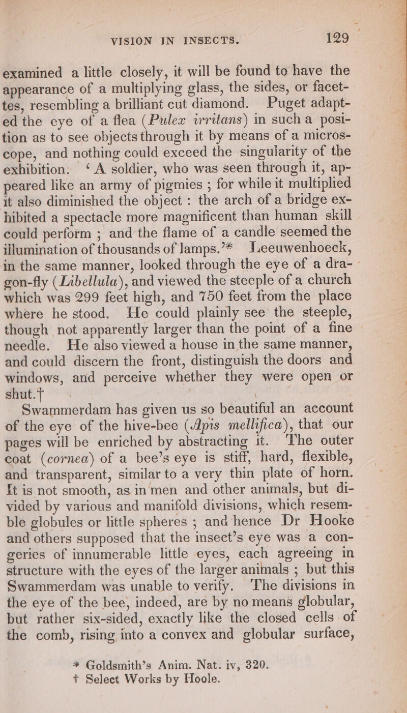 examined a little closely, it will be found to have the appearance of a multiplying glass, the sides, or facet- tes, resembling a brilliant cut diamond. Puget adapt- ed the cye of a flea (Pulex irritans) in such a posi- tion as to see objects through it by means of a micros- cope, and nothing could exceed the singularity of the exhibition. ‘A soldier, who was seen through it, ap- peared like an army of pigmies ; for while it multiplied it also diminished the object : the arch of a bridge ex- hibited a spectacle more magnificent than human skill could perform ; and the flame of a candle seemed the illumination of thousands of lamps.”** Leeuwenhoeck, in the same manner, looked through the eye of a dra- gon-fly (Libellula), and viewed the steeple of a church which was 299 feet high, and 750 feet from the place where he stood. He could plainly see the steeple, though not apparently larger than the point of a fine needle. He also viewed a house in the same manner, and could discern the front, distinguish the doors and windows, and perceive whether they were open or shut.— | | Swammerdam has given us so beautiful an account of the eye of the hive-bee (Apis mellifica), that our pages will be enriched by abstracting it. The outer coat (cornea) of a bee’s eye is stiff, hard, flexible, and transparent, similar to a very thin plate of horn. ft is not smooth, as in men and other animals, but di- vided by various and manifold divisions, which resem- ble globules or little spheres ; and hence Dr Hooke and others supposed that the insect’s eye was a con- geries of innumerable little eyes, each agreeing in structure with the eyes of the larger animals ; but this Swammerdam was unable to verify. The divisions in the eye of the bee, indeed, are by no means globular, but rather six-sided, exactly like the closed cells of the comb, rising into a convex and globular surface, * Goldsmith’s Anim. Nat. iv, 320. + Select Works by Hoole.