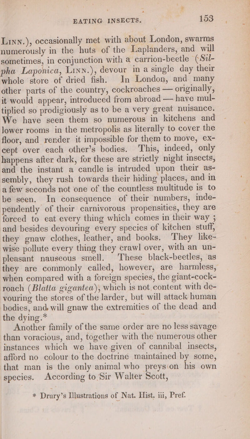 Linn.), occasionally met with about London, swarms numerously in the huts of the Laplanders, and will sometimes, in conjunction with a carrion-beetle (Sz- pha Laponica, Linn.), devour in a single day their whole store of dried fish. In London, and many other parts of the country, cockroaches — originally, it would appear, introduced from abroad — have mul- tiplied so prodigiously as to be a very great nuisance. We have seen them so numerous in kitchens and lower rooms in the metropolis as literally to cover the floor, and render it impossible for them to move, ex- cept over each other’s bodies. This, indeed, only happens after dark, for these are strictly night insects, and the instant a candle is intruded upon their as- sembly, they rush towards their hiding places, and in a few seconds not one of the countless multitude is to be seen. In consequence of their numbers, inde- pendently of their carnivorous propensities, they are forced to eat every thing which comes in their way ; and besides devouring every species of kitchen stuff, they gnaw clothes, leather, and books. They like- wise pollute every thing they crawl over, with an un- pleasant nauseous smell. These black-beetles, as they are commonly called, however, are harmless, when compared with a foreign species, the giant-cock- roach (Blatta gigantea), which is not,content with de- vouring the stores of the larder, but will attack human bodies, and, will gnaw the extremities of the dead and the dying.* ; | Another family of the same order are no less savage than voracious, and, together with the numerous other instances which we have given of cannibal insects, afford no colour to the doctrine maintained by some, that man is the only animal who preysion his own species. According to Sir Walter Scott, * Drury’s Illustrations of Nat. Hist, ii, Pref.