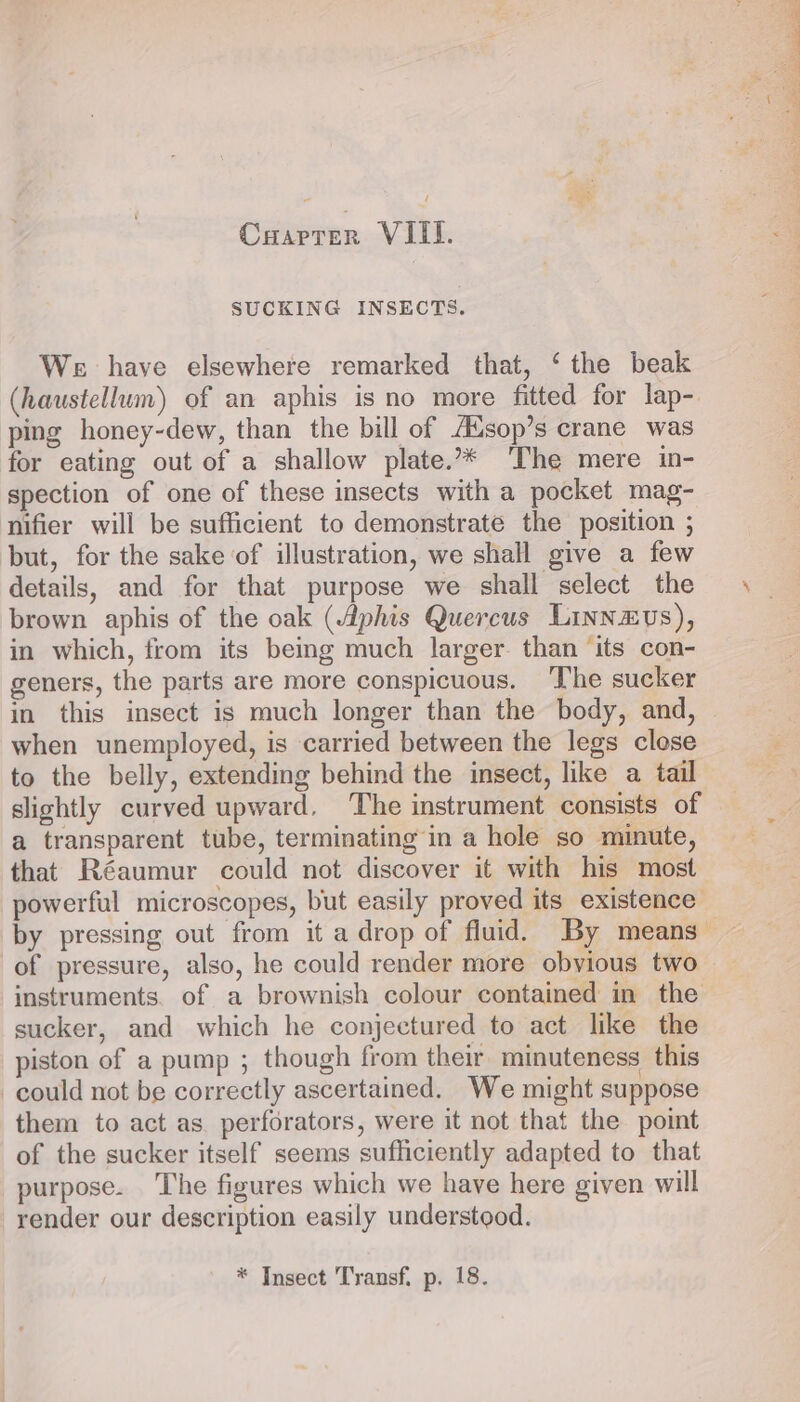 Cuarrer VII. SUCKING INSECTS. We have elsewhere remarked that, ‘ the beak (haustellum) of an aphis is no more fitted for lap- ping honey-dew, than the bill of AXsop’s crane was for eating out of a shallow plate.* ‘The mere in- spection of one of these insects with a pocket mag- nifier will be sufficient to demonstrate the position ; but, for the sake ‘of illustration, we shall give a few details, and for that purpose we shall select the brown aphis of the oak (Aphis Quercus Linn&amp;vs), in which, from its beg much larger. than ‘its con- geners, the parts are more conspicuous. The sucker in this insect is much longer than the body, and, when unemployed, is carried between the legs close to the belly, extending behind the insect, like a tail slightly curved upward. ‘The instrument consists of a transparent tube, terminating in a hole so minute, of pressure, also, he could render more obvious two instruments. of a brownish colour contained in the sucker, and which he conjectured to act like the piston of a pump ; though from their minuteness this could not be correctly ascertained. We might suppose them to act as perforators, were it not that the point of the sucker itself seems sufficiently adapted to that purpose. The figures which we have here given will render our description easily understood. * Insect Transf. p. 18. y 4