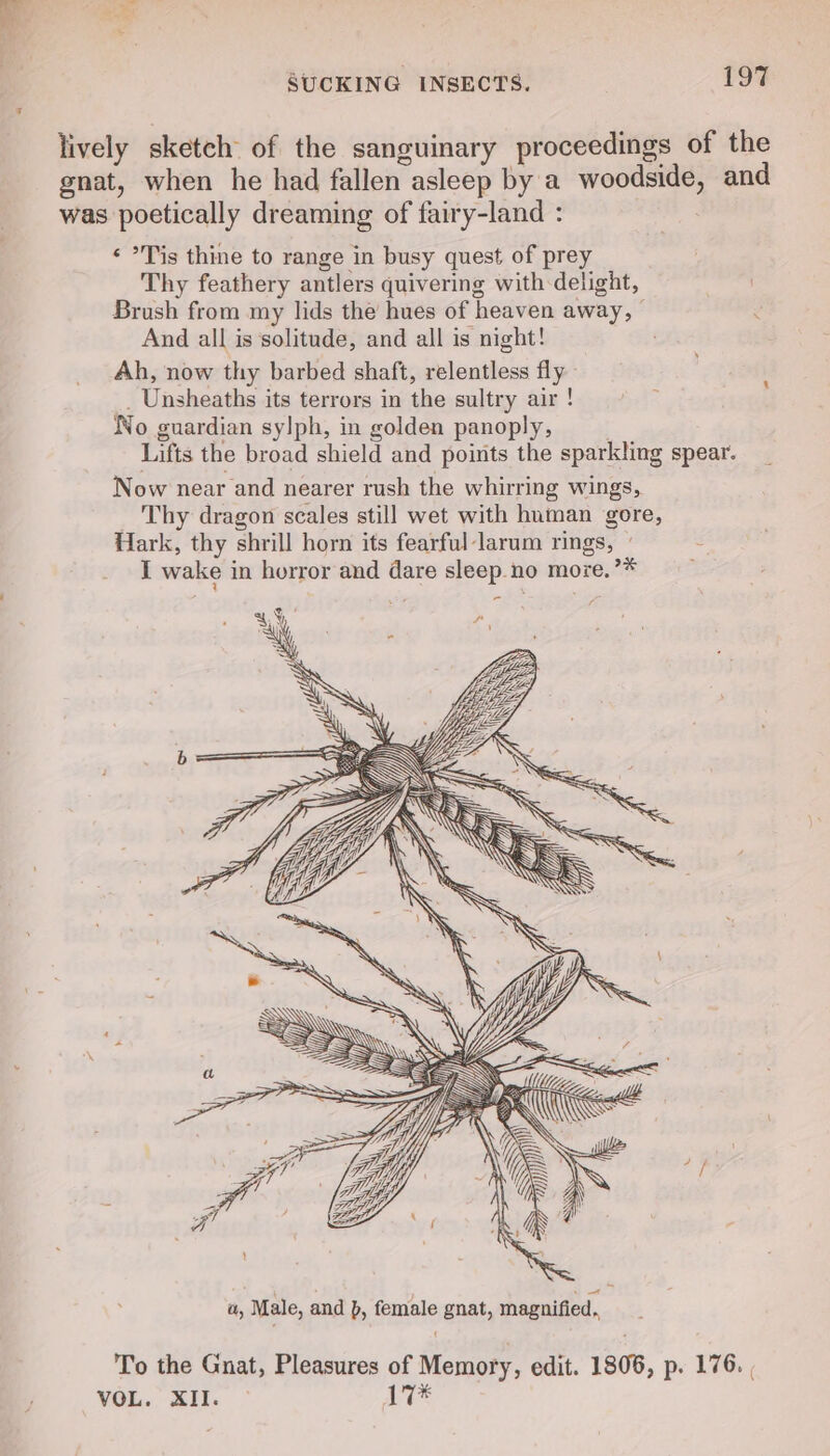 lively sketch: of the sanguinary proceedings of the gnat, when he had fallen asleep by a woodside, and was poetically dreaming of fairy-land : rade ‘ Tis thine to range in busy quest of prey Thy feathery antlers quivering with delight, Brush from my lids the hues of heaven away, And all is solitude, and all is night! Ah, now thy barbed shaft, relentless fly - _ Unsheaths its terrors in the sultry air ! No guardian sylph, in golden panoply, . Lifts the broad shield and points the sparkling spear. Now near and nearer rush the whirring wings, Thy dragon scales still wet with human gore, Hark, thy shrill horn its fearful larum rings, - c I wake in horror and dare sleep no moze. a E - a, Male, and p, female gnat, magnified. To the Gnat, Pleasures of Memory, edit. 1806, p. 176. , VOL. XII. ° 17*