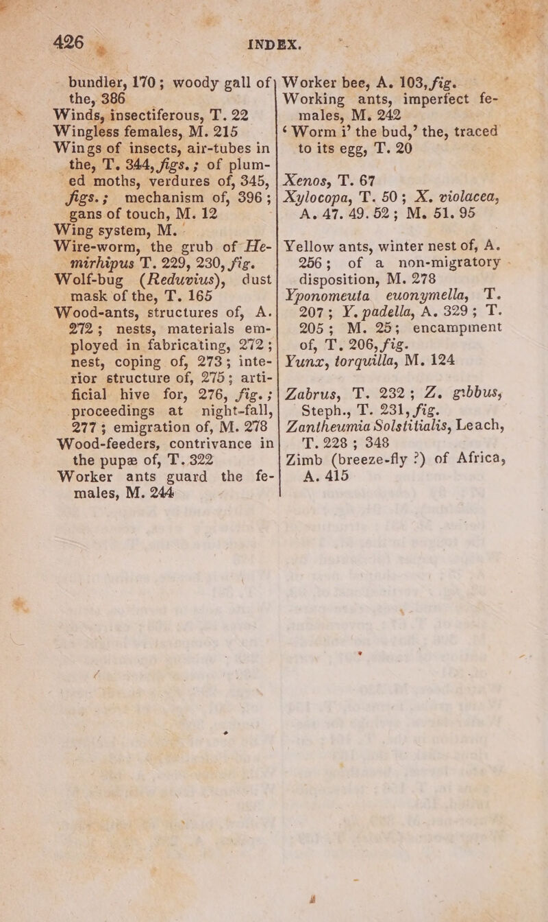 - bundler, 170; woody gall of the, 386 Winds, insectiferous, ee Wingless females, M. 215 Wings of insects, air-tubes in the, T. 344, figs. ; of plum- -ed moths, verdures of, 345, Jigs.; mechanism of, 396; gans of touch, M. 12 ; Wing system, M.- Wire-worm, the grub of He- mirhipus T. 229, 230, fig. Wolf-bug (Reduvius), dust mask of the, T. 165 Wood-ants, structures of, A. 272; nests, materials em- ployed in fabricating, 272; nest, coping of, 273; inte- rior structure of, 275; arti- _ ficial hive for, 276, fig. ; ‘proceedings at night-fall, 277; emigration of, M. 278 Wood-feeders, contrivance in the pupe of, T. 322 Worker ants guard the fe- males, M. 244 Worker bee, A. 103, fig. Working ants, imperfect fe- males, M. 242 ‘Worm i’ the bud,’ the, traced to its egg, T. 20 Xenos, T. 67 Xylocopa, T. 50; X. violacea, A. 47. 49.52; M. 51.95 Yellow ants, winter nest of, A. 256 sof. fa: disposition, M. 278 Yponomeuta euonymella, T. 207; Y. padella, A. 329; T. 205; M. 25; encampment of, T. 206, fig. Yunz, torquilla, M. 124 Zabrus, T. 232; Z. gibbus, Steph., T. 231, fig. Zantheumia Solstitialis, Leach, T. 228 ; 348 Zimb (breeze-fly ?) of Africa, A. 415