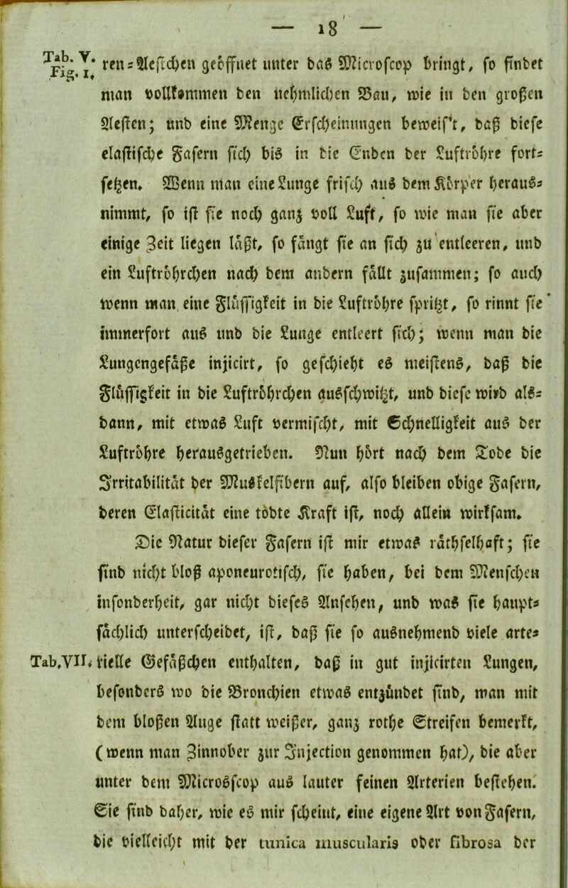 I — i8 — K»T unter baS SOZicvofcop bringt, fo pnbet man t>oUf»mmen ben iictimlicljen 25flu, mie in ben großen 5(cßcn; unb eine 93?engc ^rfd)emnngcn bemeift, baß biefe claflifdjc gafern ftcl) bi^ in fcte (rnben ber Suftvobre fort^ fegfm 5Ecnn nian cineSunge frifd) and bem Körper berau^s nimmt, fo i(I fit noch ganj boll Suft, fo mie man fic aber einige 9eit liegen laßt, fo fangt ffe an fid) jn'entleeren, nnb ein SuftvobrcI)en nach bem anbern fallt sufammen; fo and) menn man eine gluffigfeit in bie ?uftv6brc fpvil^t, fo rinnt fte* immerfort anö nnb bie £ungc entleert fi'd); menn man bie Sungcngefdße injicirt, fo gefebiebt eö meijieng, baß bie glujftgfeit in bie Suftrbbreben au^fd^mil^t, unb biefe mi»b bann, mit etmaö £nft i?ermifd)t, mit Ccbnelligfeit au5 ber Suftrobre b^J^auögetricben. 0ftun bt*rt nad) bem Jlobe bie Srntabilitdt ber SQlu^felßbern auf, alfo bleiben obige gafern, beren (I*laflicitdt eine tobte ^raft ifl, noch allem mirffam* ^ic ?Uatur biefer gafern i|l mir etma^ rdtbfelbaft; fie finb nicht bloß aponeurottfd), fte haben, bei bem 5??enfcben mfonberbeit, gar nid;t biefcö 5lnfeben, unb ma^ fte bau^H^ fdeblid) unterfd)eibet, i(I, baß fte fo auönebmenb biele arte« Tab,vn» Vielte 0efdßd)en enthalten, baß in gut injicirten Sungen, befonberö mo bie SSronchien etmaö entjunbet finb, man mit bem bloßen 5luge flatt weißer, ganj rothe Streifen bemerft, (wenn man Jinnober jur Snjection genommen haO, bie aber unter bem S!}^icroöfcop auö lauter feinen Slrterien begehen. Sie ftnb baf;cr, wie eö mir fcheiut, eine eigene 3lrt »on gafern, bie bielleicht mit ber tunica muscularis ober fibrosa ber
