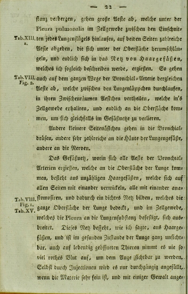 (tanj tocvbcrijen^ gelten gvogc 3Ic(!c ab, irelclK unter ber Pleura pulmonalis im j\r*jfcl)cu ben (linfcbnit^ Tab.Xlll.ten jcbeSSungcnflugelg auf beiben Seiten jablreicbc a« 5ie(ie abgeben, bic fiel) unter ber £)berpad)e b^mmfcblans geln, unb enblid) ftcb in ba» 9Zel^ bon ^paargefaf en, W)cIdK§ !d) fogleid) befebreiben merbe, ergie^em So geben and) auf bem ganzen 5öegc ber tßroncbials^Irterie bcrgleidjeii Slejic ab, melcbc sujifd)cn ben Sungenidppeben burcblaufen, in ihren 3^j^‘^)^t^*'dumen 5Ief!d)en bertbeilen, weld)e in*$ gellgemebc exbaliren, unb enblid) an bic £)berfldcbe fonis . men, um fid) gleicbfalB im 0efdfnefee ju verlieren* I 3Inbere fleinerc 0eitend|ld)en geben in bie ^rond)iaU brüfen, anbere febr aablreicbe an bic5?dute bcrS!ungengefdpt, üuberc an bic Olcrüein X)aö ©efdfncg, morin fiel) alle 5le(lc ber ?i3rond)tals Slrterien evgiefen, weld)e an bie £)bcvfldd)c ber Sunge foms men, bcjlebt auö un^dbligon w*eld)e fiel) auf allen Seiten mit einanber bcnvicfeln, alle mit einvinber ana* unb baburel) ein bicl)tef^ ^ci} bilben, tveld)c6 bic* Tab^XV €>bcrf[dd)e ber Sunge bebceft, unb im • melcl)efi bie Pleura an bie Sungcnfub(!anj befefrigt, fiel) anör- breitet. X^iefeö 97el3 begebt, mie iu) fagte, auö §aarges fdpen, unb ip im gefimbcn Juganbe ber Sunge gan^ imfid)t2- bar. and) auf Icbcnbig geöffneten $tbievcn nimmt c6 nie fo* viel rotbc^ 23Iut auf, um bem Sluge [fi'd)ibar s« mcrbeiu, Selbg biirel) Snjectionen tvirb eö mir buret)gdngig angefullt,, mcirn bie ^latcrie fel)r fein ig, unb mit einiger ©emalt äugest