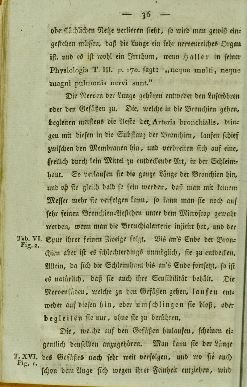 o('erf(acr)Iid)eii ^e(}e üerlifren fo trirb man geirij^ eins gegeben niüffeii/ baj5 bie Simge ein febr nert>cnrcicl;c^ £)rgan ijl, unb ef' Ift wo{>l ein Srrt^nm, wenn Baller in feiner Physlologia T. IIT. p. 170. frtgt: „iieque multi, neque imagni pulmonis nervi sunt.” ^Ic Olerccn ber Simge gefjeren entweber beit ?uffr5l^ren cber ben ©efafen ju. 5Dle, weld)e in bie 58ronc{)ien geben, begleiten ntciflen# bie 5tefTe ber, Arteria bronchialis, brins gen mit biefen in bie eubjtan^ ber ^ronebien, laufen fd)ief jwifeben ben 5}?embranen bin, unb verbreiten fid) auf eine, freilid; burcl) fein Mittel 5U entbeefenbe 5lrt, in ber ©cbleim^ baut. <2o verlaufen fie bie ganje Sange ber Svonebien biu, unb i>h fie gteid; balb fo fein werben, baj5 man mit feinem 3}fejfer mehr fic verfolgen fann, fo fann man fie noch auf febr feinen S5rpncl)ien=5(e(fd)en unter bem SJiicrofcop gewähr werben, wenn man bie 55rcncbialarterie injicirt bat, unb ber T»b. VI. 0pur ihrer feinen 3weigc folgt. 5Biö an’^ ^nbe ber S5rous d;tcn aber ift eß fd)Icd)terbingö tmm^g^id;, fic ju entbecFen. SUlein, ba fid) bre ©cbleimbaut biß cmß ^nbe fortfebt, fo i(f eß naturlid), bag fie and) ihre 0cu{^'bilitdt bebdit. :©ic 0ffervenfdben, weld)0 31t ben ©efdgen geben, laufen euts Weber auf biefen bin, ober umfcblingen fic bloß, ober begleiten fic nur, ohne fie 511 berubretu ^ie, we.d)c auf ben ©cfdßen biulaufen, fd)eincn eU gentlid) benfelbeu anjugeboren. 9}?au fann fte ber Sange T. XVI. \)cß ®efdße§ nach febr weit verfolgen, unb wo fic aud) Fig. c. febon bem 5(ugc fid> wegen ihrer geiubeit eut^icben, wirb