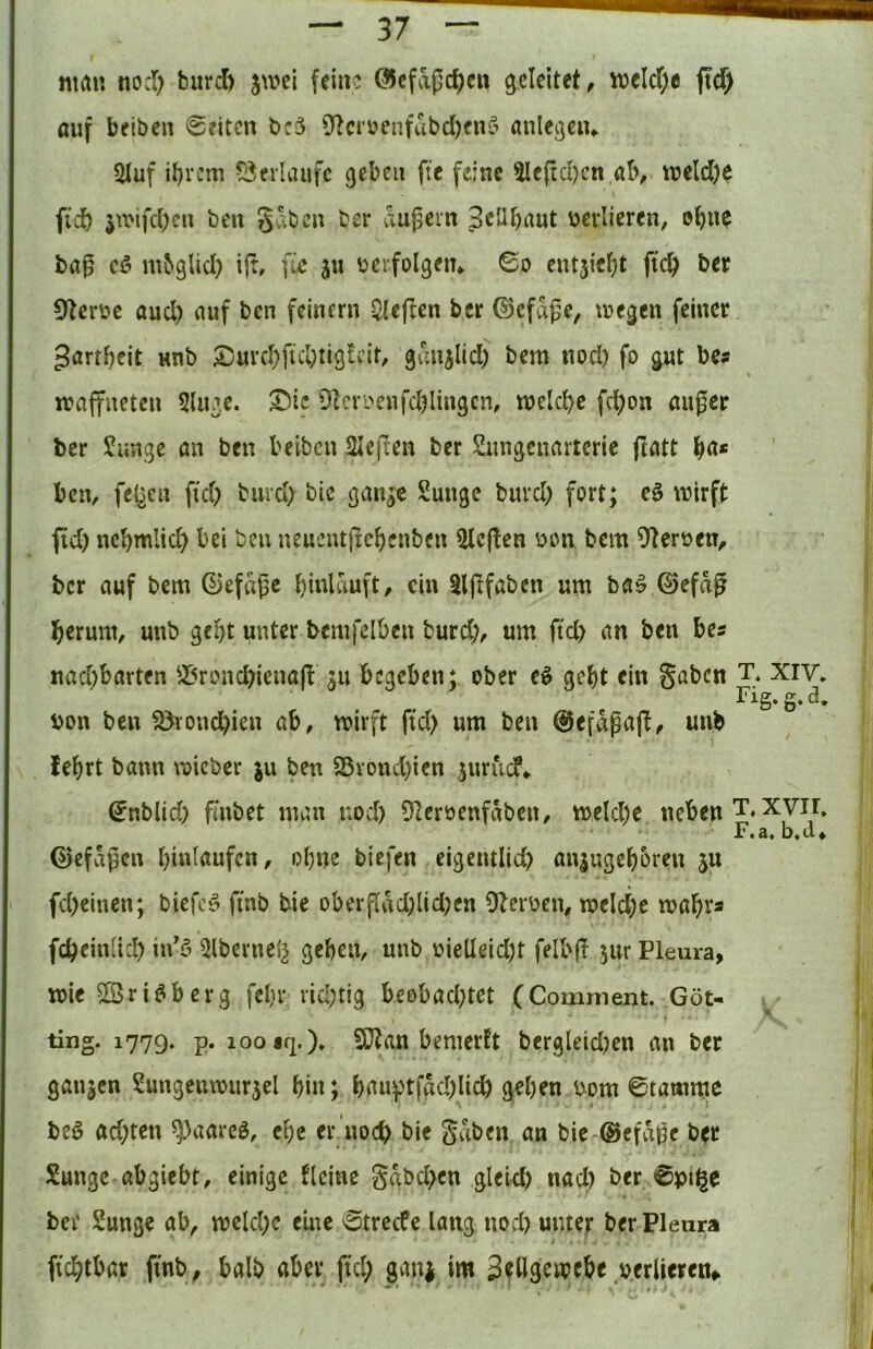 ntrt« nocl) burd> jwel fein? @cfapcf)ett g.eleitct^ weld;« ftef) auf beiben 0?itcn bc5 fyicri'enfabd)cnei anlegciu 5luf il)r?m ?3erlaufc geben ftc fdne 5lc(td)cn,alv tt?eld)e fid) ju'ifd;cn beu Sv.bcn ber äußern 3cübaut verlieren, ba0 cö mbglid) tjt, füc ju bcrfolgein Bo cntjicb^ 91eröe and) auf ben feinem fiepen ber ©cfdge, tuegen feiner gartbeit unb S^uvd^ficbtigtn'r, gdujlid; bem nod) fo gut bes waffneten 5luge. X>io 0Rcroenfd?lingcn, tuelcbc fd)on außer ber Junge an ben beiben Slepen ber Jungcuarteric patt b^t* ben, fe^cn pd) burd) bic gan^c Junge burd; fort; c§ wirft pd) nebtuUeb bei beu neuentpebenben Slcpen ücu bem 9tcrüen, ber auf bem ©efdßc bndduft, ein Slpfabcn um ba» ©cfdß herum, unb gebt unter bcmfclbcn burd;, um ftd; an ben bes uad;barten ^X^ronebienap 511 begeben; ober eö gebt ein gaben T* xiv Fig.g.d Don ben ^ronebien ab, wirft pd> um ben @efdßap, unb lebrt bann wicber ju ben 25vond)ien juriicf» ^nblid) fmbet man nod) Üleroenfdben, weld)e neben T«xyir ©efdßcn biuiitufcn, obue biefen eigentlid) an|ugebbren ju fd)einen; biefc^^ pnb bie oberpdd)lid)en Dtcroen, wcld;e wabra fcbein(id) in'ö 2lbernel^ geben, unb oieUeid)t felbp jur Pleura, wie Sßri^berg febr vicl)tig beobad)tet (Comment. Got- ting. 1779. p. 100 iq.)* 9}?an bemerft bcrgleid)en an ber ganzen Jungenwur5el bin; bauptfdd)licb geben bom ©tarnnie beö ad;ten ^aareö, ebe er noch bie gaben an bie-@efdße ber Sungc abgiebt, einige Heine gdbd>cn glcid) nad) ber ©pil^e bei' Junge ab, weld;e eine 6trecfe lang nod) unter ber Pleura i. pcbtbar pnb, halb aber pd; ganj im 3eügcwebe verlieren^