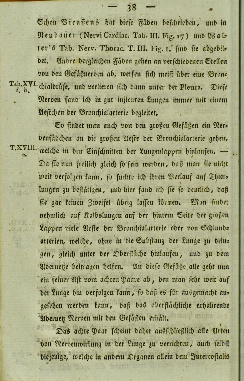 0cf)pu 531 engenS hat tiefe gaben tefd)rleten, unb in 91 eu b n ü C r (Nervi Cardiac. Tab. III. Fig. 17 ) imb ?IB a Is ter’ö Tab. Nerv. Thorac. T. III. Fig. 1/ finb fte ttbgebils bet. 5lnbre bergleicbcn gaben geben an ücrfcbicbeneii ©teilen ton ben ©cf5gncröcn ab, weifen ftd) mcijl über eine 25rons ^^£^*^^^'d)ialbi’r{fe, unb verlieren jid) bann unter ber Pleura, ^iefe ^ 9Ierüen fanb id) in gut injidrten Sungen immer mit einem 5lefld;en ber S3rond)ialarterie begleitet» ©0 ftnbet man and; bon ben grogen ©efagen ein 9Iers benfabd)cn an bie grogen 5Icfre ber 25rond)iaIarrerie geben, wcldpc in ben ^infd)nitten ber Sungcnlappen binlaufeu. — Da fte mm freilich gleich fo fein werben, bag man fte nid)t weit berfpigen fann, fo fudne ich ihren 53erlauf auf I^hi^r= lungeii ju bejlatigen, unb hier fnnb id; fte fo beurlid), bag fte gar feinen nbrig laflfen foiiuen. 90^an ftnbet nebmiid; auf ilalb^Iungcn auf ber binteru ©eite ber grofen Sa),^)?en bicle 5lc(!e ber Söronchialarterie ober bon ©chlnnb« arteriell, weld;e, ohne in bie ©ubfranj ber £nnge ju brius gen, gleich unter ber Dbcrffad;e binlaitfen, unb ju bem Slbcrnel^e beitragen bdfen. 2ln tiefe ©efaßc.alle gebt nun ein feiner 5l(! bom achten^paarc ab, ben man febr weit auf ber £unge bin berfolgen fann, fo tag eö für aus^gemacht an» gefeben werben fann, tag baö obergäd;lid;e erbalirenbe 'Slberneg Oleroen mit ben ©efagen erbalt» Da0 achte $aar fd;eint baber außfchlfeglid) alle Hirten bon 9^erbenwir!ung in ber ?nngc 311 berrichten, auch felb|l bi^jeltigc, welche in anbern Drganen allein bem Sntercoftaliö