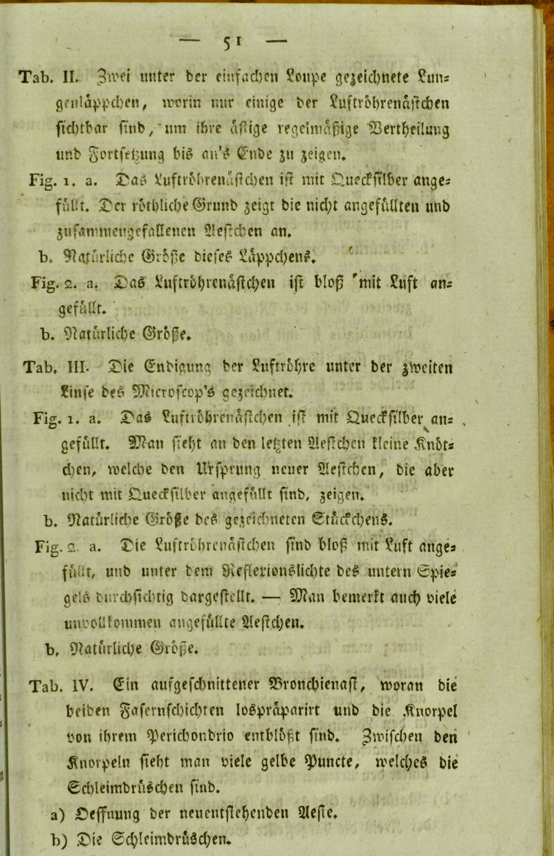 5' Tab. II. ctjifad)cn £oupc qe|eicl)nete ?uns gfnldf'pcljen, ircrin mir einige ^e^ ?uftr5t)renn)}d)en fi'ditbnr finb/nm ihre df^ige vegelmdpige ^ert^)cilung imb gortfi?l>iing bi^ nn’i^ ßi'nbe jn jeigeiu Fig. 1. a. \!ufti‘bhrendild)eu itt mit £luecfftlber önges fiilU. Xcx rbtblicbe 0rimb jeigt bic nid;t angefuUte« unb jufamnicngcfanenctt 2!cf:dicn an. b. 9I(ur.rIid)c (S)r5|]c biefe^ Sa^'^djenr. Fig. 2. a. 5!uftro()rcnd|Ic^cn ift bloß 'mit Siift ani gefutlf. b. 9loturlid)c ©roße. Tab, III. ^nbißimg ber S!nftrM}rc unter ber imeiten ?infe bef^ 5)ttcrofcop’ö gc5eidniet. Fig. 1. a. I>ci9 ?iifncbrcndßd)en tjl mit C^uecffilbcr^aus , gefuür. ^-an fiebt an ben letzten 2lef!d?cn Heine ,^n5ts d)cn, tvclcbc ben UVfpning neuer 5lefrcbcn, bie aber nid)t mit C.uccffüber angefuUt finb, geigen. b. yiaturlidic G).r6fe be^ gegeidmeten 0tucfd;en6. Fig. 2. a. Tie ^nftibhrcndftd/en ßnb bloß mit Viift anges fuiit, unb unter bem 9Icfterion^lid)te bc^ untcin 0).Nie« gelö bm'd)fid)tig bargeßcllt. —; 5[)?an bemerft micb ^iHc uurolUonimen öiuicfullte 2leßd;cn. b, 9^atnrlid;e ©rbße. Tab. IV. ^in aufgefd)nittener 93voncbicna(!, moran bic beiben gafernfd)id)ten Iogprdg?arirt unb bie .tnorpel » i^on ibrein 5perid)onbrio entblößt ßnb. Jmifdjen beti ^noi>>elu (lebt man üiele gelbe ^uncte, meld;cö bic 0d)leimbru^d)en finb. a) IDeffiiung ber ncuentßebcnbcn 2leße. b) .^ie 0cbleimbvu3d;en*