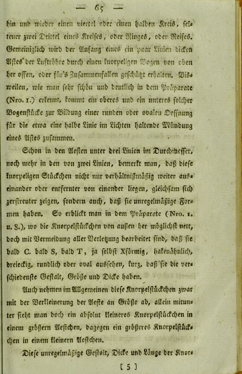 tin imb !t>icbcr finen ober einen falben Ärci^, fein teuer jwel Drittel cinc5 .l^rcifcö, obcrSiingeö, ober ^fleifeö* ©cnielni^lid;^ nnrb ber Einfang eineiS ein l^'nien biefea 2ljrc^*ber Snftrbbrc bnrd) einen fnory*cIißen r^e^en bon eben f;cr offen, ober ffir’ö Stif'^t^^titenfaUen ßcfcbii^t crbnitein 25iöi* «teilen, wie man feljr fd;5n imb fceutlicl; in bem ^reparßte (Nro. I.) crFeimf, fommt ein oberem «nb ein unterfeieret S5ojenpiic?e jur SSilbung einer rmiben ober obalen Deffnnng für bie etwa eine b«lbe Sinic im Sic(;ten baltenbe 9}?imbmt3 eines ^jleS 5ufammcn. 0(I)on in ben 5le(!en unter bvei Sinieti im Durd)itieffel% uoc^ mehr in ben non jwei Sinien, bemerft man, bag biefe !nor))eIigen 0tiufc(;en nicht mir berTjaltnigmagig weiter anS* einanber ober entfernter non cinanber liegen, gleichfam fiel) gerflreuter geigen, fonbevn and;, baf fte unrcgcimngige gors men hebern erblidft man in bem ^raporatc (Nro« i*. u« 80/ bie ^nor^elfiucfchen nOn äugen her m5gl{d;(b nett/ hoch mit^ermeibung aller ^erle^ung bearbeitet ftnb, tag fie balb C. halb S, balbT, ja felbfb Xfbrmig, bafenahnlicl)> breieefig, runblicb ober onal auSfcl;en, fur^, bagYi^ bie 5?er< fd;ieben(!e 0egalt, ©roge unb Dicfe üluch nehmen im SlUgemeinen biefe jlncr^eljlucfchen jmar mit ber SÖerlleinerung ber 5lcge an ©v5gc ab, allein mitun« ter fleht man bod) ein abfoUu lleinereS ^nor^^elpucfcben in einem grbgern Slejicben, bagegen ein gvbgeveS Änorpeljliicf# (l;cn in einem fleinern 5le|Td)en. Diefe unregelmäßige ©egalt, Dicfc unb Sange ber ^nor* [ 5 ]