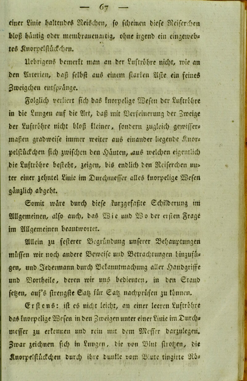 einer 5!inie Sieifnl)fn, fo fcl)cincn tiefe 5^?cifer:r>fu bloß ober memh’aueiuutig, ol;ne irgent ein cinßeivets ♦ \ teö ^norpcIfuuf4)eu. XIcbrii3en*5 l'cinerFt turnt ött ter ?uftrol^rc tiicl)f, tt>ie an ten Slvtcrien, baß fcibß auw einem ftarlen SljTe ein feinet 3iveigd;en entff'ratiße» golglid; verliert ftd) baö Fnorpciigc ^IBefeit ber ?uftr6r)rc in bic Zungen auf bie 5lrt, baß mit SSerfeinernng ber Smei^c ber Suftroltre nic^t bloß fleiner, fonbern sngicid) gcmiiyers maßen gvabmeife immer treiter ano einanber liegenbe ,^nors pelßudd;en ftd) jmifd;cn ben jjanten, ^aues treld;cn eigentlid) bie Snftrobre beßebt, seigem biö enblid) ben 3ficiferd)cn un> ter einer 3ebntel ?inic im 2)urd;nieffer allc^ fnorpelige ffiefen gan^licb abgebt, , @omit ivare burd) tiefe Fur^gefaßre 0d)iIberimg ini Snigemeinen/ alfo auch# baö S5ie imb ^öo ber cvfeen im ^lllgemeinen beantmortef. aiUein ju feßerer S3i’grunbung unferer 55ebanptungcii muffen mir nod) anbere S5cmcifc uub S3etrad;tungen binjufns gen^ unb Sebermann bnrd) S3c!anntmad)img aller j)anbgriffe unb 53ortbeile, bereit mir im5 bebienten, in bm 0ranb feiern önf» ßrengße ©a^ für ©aB nad)prufen 3U fonnen, ©rßenö: iß eö nid;t lcid;t, an einer leeren ülnftrobrc ba^ Fnorpelige ^Befen in ben pmeigen nntcr einer Sinie im I^nrd)* meffer ju erfenr.en nnb rein mit bem 9}?effer bar^nlegciü 3mar 3eid)iten ftd) in ?imgfn, bie von ^liit ßiol^en^ bie 5tnorfelßuc?cben burd; ibre bunllc vom '25'.utc tingirte 3;5s