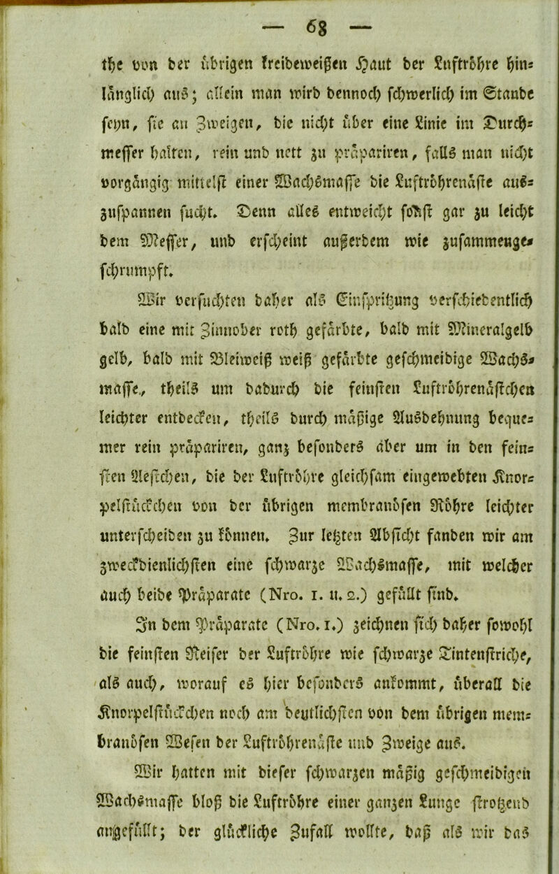 von übrigen frcibe«?eigeit jpaut bcr Snftrbbre l^in^ langlici) nii‘5; aUein inan irirb bcnnod) fcbmerlid) im @tanbc fci;n, jic piveigcn, bie nid;t über eine Sinic im ^urc?)« meflfer baircn, rein unb nett ju :|n‘aparirfn, falls man iiid)t norgangig mittel}! einer ^ad;Sniaj]e bie Suftrobrcnafle aiiSs gufpanr.en fud)t» ^^enn alles enticeic^t gar ju leidet bem 50?efifer, luib erfd;eint augerbem mie jufammewge# fd;rmnpft» 2Bir nerfud)te« bölier alS €*infpril5ung nerfebietentlief} halb eine mir Zinnober rctl) gefärbte, halb mit 5}?ineralgelb gelb, balb mit 25Ieinjcig meiß gefärbte gefcbnicibigc S©ad;S« maflTe., tbeilS um baburdb bie feinfren 5uftr5brcnä(!d;cii leichter entbecFen, tf;eilS bnref) mäßige 5luSbcbmmg begue^ mer rein präpariren, ganj befonberS aber um in ben feins jlen Ülef£d)eii, bie ber Snftvbbre gleid)fam eingemebten ^norc pflfiüctcbcn non bcr übrigen membranofen Siobre leichter unter|“d)eiben ju fbnneiu legten 5Ibfid;t fanben mir am 5wec?bicnlid;|ten eine fd)marjc ^Dad;lma|]e, mit melcber aud; beibe Präparate (Nro. i. tu 2.) gefüllt ftnb» Sn bem Präparate (Nro, i,) seit^nen fid) baber fomof)l bie feinjien Steifer ber Suftrobre mie fd^toar^e ^^intenftricbe, ölS aud), morauf eS l;icr befonberS auiommt, überall bie ^norpel|tüud)en nod) am 'beutlid)ftcn non bem übrigen mems branofen 5Befen ber Suftrobrenujle uub Jineige auS. 5Bir batten mit biefer fd^inar^en mäßig gcfd)meibigcn 5Bad)Smajirc bloß bic Suftrbbre einer gan5en £ungc firogeub anjgcfüllt; bcr glüvflicbc Zufall mollte, bap als mir baS
