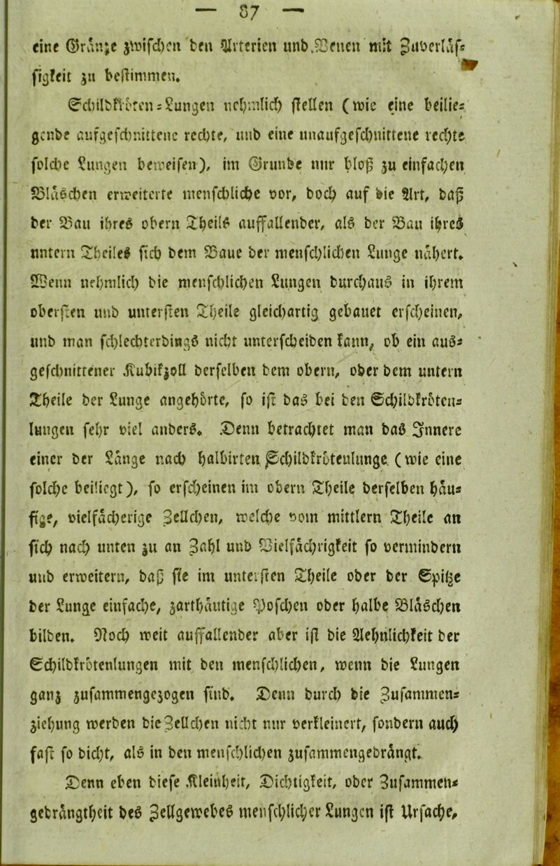 eine GJrvV.ijc j\i3ifd)cn ten fJIvtericu unb.?2eneu mit ^uberlaf« figfeit ju beRimmcu* ^diilbflercns^un^en ncfjndid^ flellen (mie ejne beilles 0cr.be aiifgefd)nittcnc rcd)tf/ mib eine itnaufgefd)«ittc«e vcd;te foId)e Zungen berceifen), im ©riinbc nur blog ju einfache» S3laöd)en enreiterfe ntenfd3licbc t)or, bocl? auf bie 5lrt, baß ber 53aii ihre^ obern auffallenbcr, alö ber ^au i^rc5 untern !^f)cileb ficb bem S5auc ber mcnfd)Iid)en Sungc naberu 59eiin ufbnilid) bic nienfd)licben Simgcn burd)aiiö in ihrem oberfceti imb muerßeu S^beile glcid)artig gebauet crfd)cinem imb man fd)Iecbterbingö nicht unterfebeiben fann^ ob ein auö^ * gefd)nitrener .flubifjotl berfelben bem oberm ober bem untern Xh^ik ber Sunge angebbrtc, fo i(t ba» bei ben @d;ilb!rotciiÄ langen fehr fiel anber^« .I5emi betrachtet man baö innere einer ber Sange imd) bflibirten ^cbilblrbteulnnge (mic eine folchc beiücgt), fo erfd)cinen im obern S-heile berfelben bau* fje, oieIfad)erige Sellcben, meicbe t>om mittlern 5theilc an ftch nad) unten ju an 3abl unb ?3ielfad;rigfeit fo ücrminbern uub erweitern, baß ffe im untciftcn 2!heilc ober ber 0)?il2C ber Sunge einfache, jartbantige r:)ofd)cu ober halbe S3la^d)en bilbem 9]och meit aujf<»llenber aber i(I bic Slehnlichfeit ber 0chilb!rbtenlungen mit ben menfd)lichen, meint bic Snngen ganj jufammengejogen fi'nb* ^emt bard) bie 3«r<3nimens jiehung merben bic3elld)en nicht mir berÜeinert, fonbern auch faß fo bid;t, alö in ben menfd)lid)en jufammengebrdngt* ^enn eben biefe .Kleinheit, Dicbtigfeit, ober 3ufammcn< gctrdngthcit bea menfchlicl;er Sungen iß Urfache^