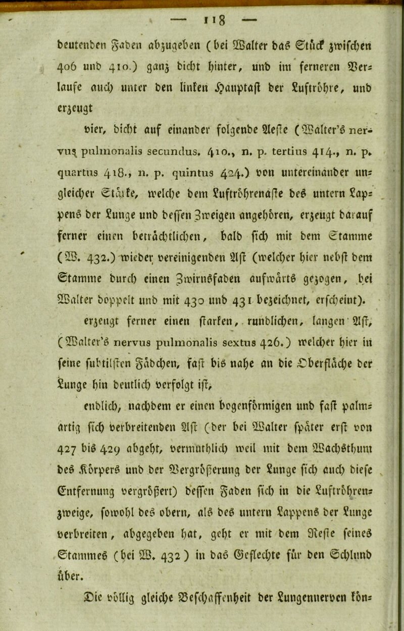 bcutcnbcn gaben öbjuaeben (bei 2Balter ©tucP jtrifdjen « 406 unb 410.) ganj bid)t unb im ferneren SSer^ laufe and) unter ben linfen ^>aupta|l ber Suftrobre, unb erzeugt hier, bld)t auf elnanber folgenbe 5Iefie (^25alter’6 ner- vu^ pnlmonalis secundus, P* tertius 414*» ?*• quartus 4^8.» n» p. quintus 4^4») untcrcinanber uns 9letd)er iStaife, mekbe bem ?uftrobrena|!e be^ untern Japs pen^ ber Junge unb bejifen 3n?eigen angeboren, ^r^eugt barauf ferner einen betrad;tlid)cn, halb ftd) mit bem 'Stamme (5S. 432.) vtieber \?ereinigenben 3l|I (meld)er bift* neb(l bem 0tamme burd) einen Smirnöfaben aufmartö gezogen, bei SBalter boppcit unb mit 430 unb 431 bejeid)uet, erfd^eint). erzeugt ferner einen (Tarfen, runblicben, langen (©alter’ö nervus piilmonalis sextus 426») meld)er hier in feine fubtilftcn gabd)en, fafl hi6 nabe an bie £^berflad;e ber Junge bin beutlid) verfolgt i|T, enblid), nad)bem er einen bogenfbrmigen unb fafi palms artig fkb berbreitenben 5lft (ber bei kalter fpater erft von 427 big 429 abgebt, bermmblid) meil mit bem 50ad)gtbum beg ,^orperg unb ber ^ergrbperung ber Junge ftd) and) biefc Entfernung oergrbgert) beflen gaben ftd) in bie Juftrobrens jmeige, fomobl beg obern, alg beg untern Jappeng ber Junge berbreiten, abgegeben bnt, gebt er mit bem Siefie feineg ©tammeg (bei Sß* 432) in bag ®cfled;te fiir ben 0d)limb iiber. Die bodig gleid)c 25efd)affenbeit ber Juugenuerben fons