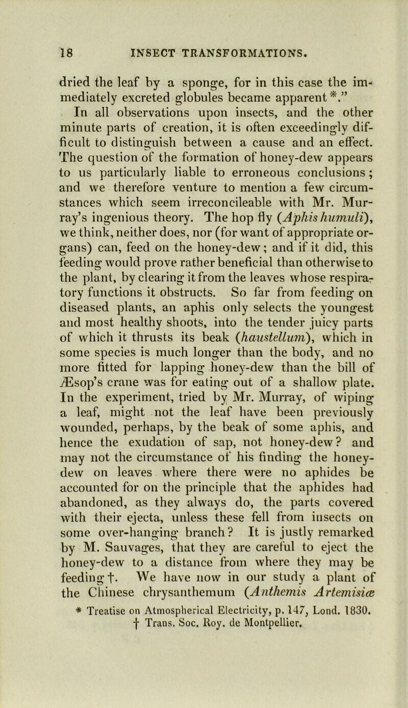 dried the leaf hy a sponge, for in this case the im- mediately excreted globules became apparent In all observations upon insects, and the other minute parts of creation, it is often exceedingly dif- ficult to distinguish between a cause and an effect. The question of the formation of honey-dew appears to us particularly liable to erroneous conclusions; and we therefore venture to mention a few circum- stances which seem irreconcileable with Mr. Mur- ray’s ingenious theory. The hop fly (Aphis humuli)^ we think, neither does, nor (for want of appropriate or- gans) can, feed on the honey-dew; and if it did, this feeding would prove rather beneficial than otherwise to the plant, by clearing it from the leaves whose respira- tory functions it obstructs. So far from feeding on diseased plants, an aphis only selects the youngest and most healthy shoots, into the tender juicy parts of which it thrusts its beak (haustellum)y which in some species is much longer than the body, and no more fitted for lapping honey-dew than the bill of ^sop’s crane was for eating out of a shallow plate. In the experiment, tried by Mr. Murray, of wiping a leaf, might not the leaf have been previously wounded, perhaps, by the beak of some aphis, and hence the exudation of sap, not honey-dew ? and may not the circumstance of his finding the honey- dew on leaves where there were no aphides be accounted tor on the principle that the aphides had abandoned, as they always do, the parts covered with their ejecta, unless these fell from insects on some over-hanging branch? It is justly remarked by M. Sauvages, that they are careful to eject the honey-dew to a distance from where they may be feeding t- We have now in our study a plant of the Chinese chrysanthemum (Anthemis Artemisice * Treatise on Atmospherical Electricity, p. 147, Lond. 1830. f Trans. Soc, Roy. de Montpellier.