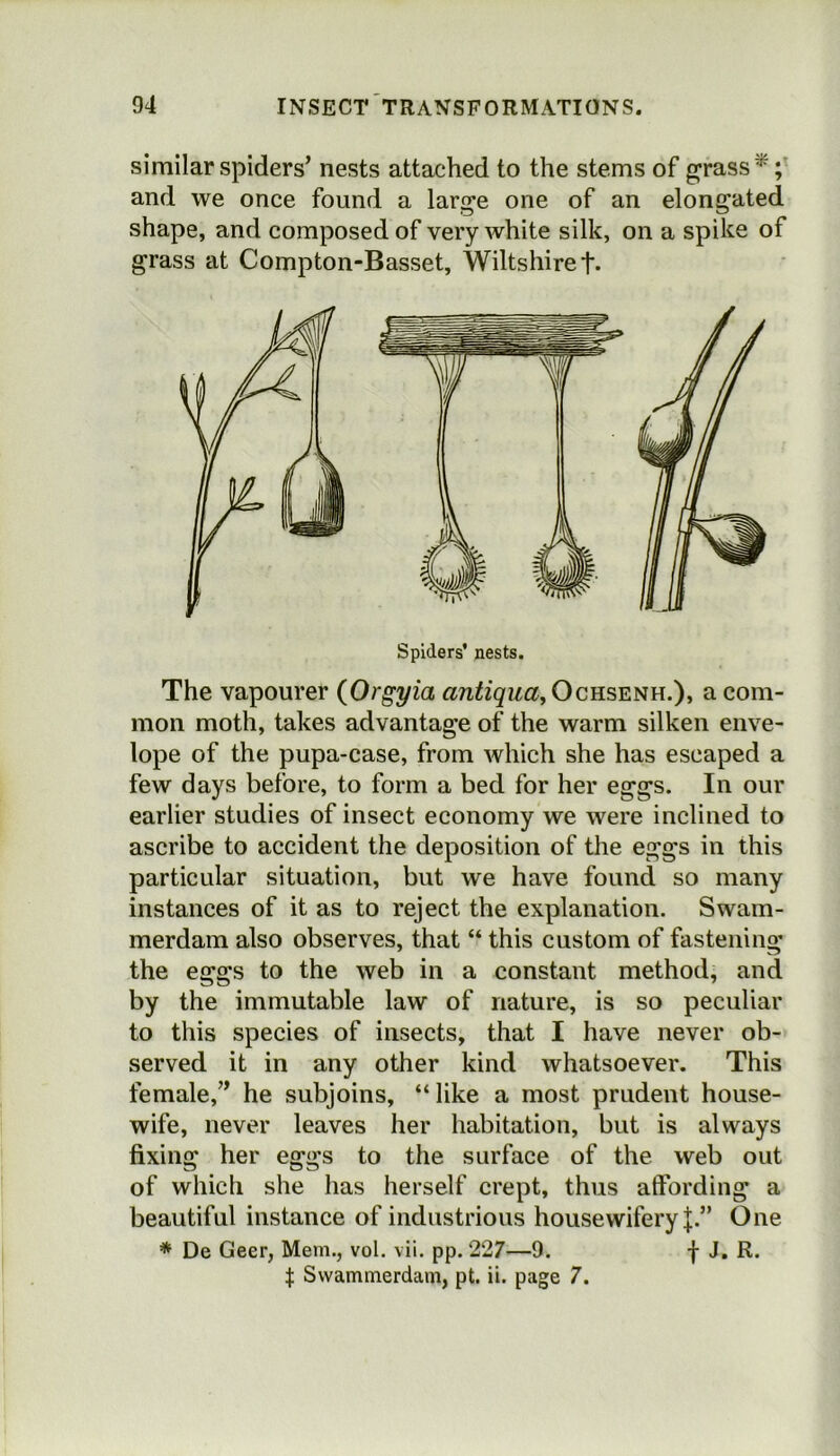 similar spiders’ nests attached to the stems of g^rass^; and we once found a large one of an elongated shape, and composed of very white silk, on a spike of grass at Compton-Basset, Wiltshire t* Spiders’ nests. The vapourer {Orgyia antiqua^ a com- mon moth, takes advantage of the warm silken enve- lope of the pupa-case, from which she has escaped a few days before, to form a bed for her eggs. In our earlier studies of insect economy we were inclined to ascribe to accident the deposition of the eggs in this particular situation, but we have found so many instances of it as to reject the explanation. Swam- merdam also observes, that “ this custom of fastening the eggs to the web in a constant method, and by the immutable law of nature, is so peculiar to this species of insects, that I have never ob- served it in any other kind whatsoever. This female,” he subjoins, “ like a most prudent house- wife, never leaves her habitation, but is always fixing her eggs to the surface of the web out of which she has herself crept, thus affording a beautiful instance of industrious housewifery One * De Geer, Mem., vol. vii. pp. 227—9. f J. R. t Swammerdam, pt. ii. page 7.