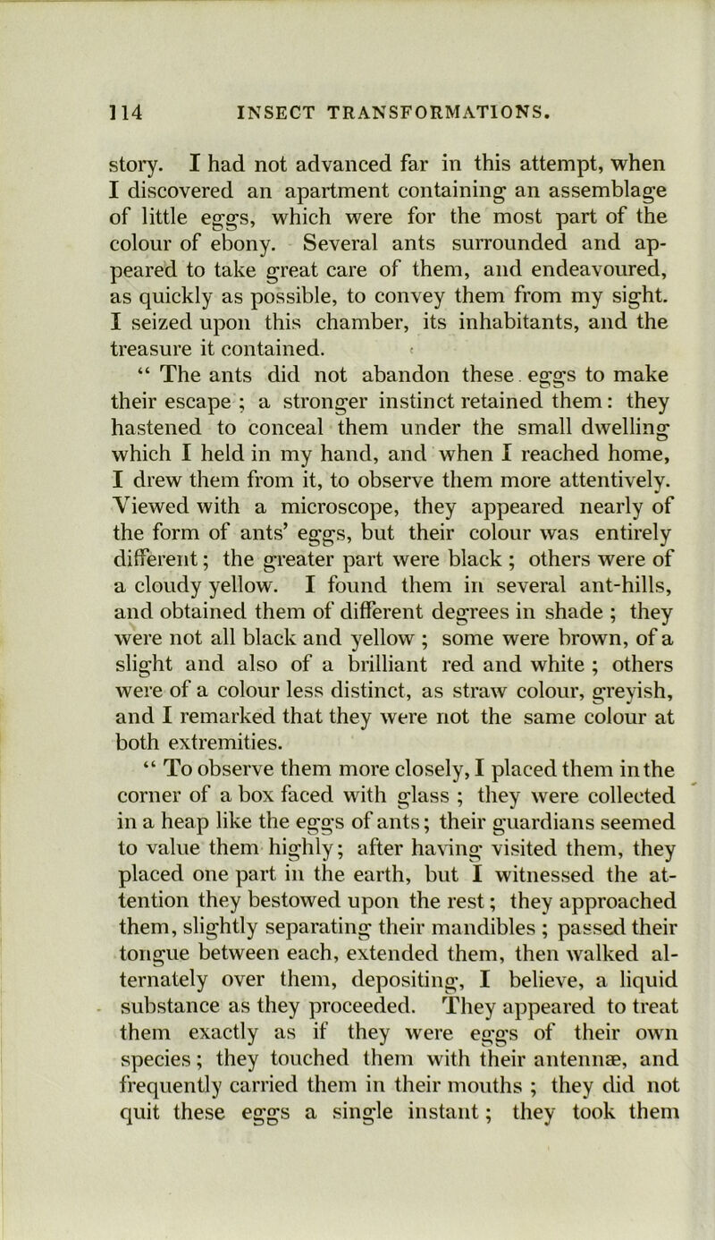 stol’y. I had not advanced far in this attempt, when I discovered an apartment containing an assemblage of little eggs, which were for the most part of the colour of ebony. Several ants surrounded and ap- peared to take great care of them, and endeavoured, as quickly as possible, to convey them from my sight. I seized upon this chamber, its inhabitants, and the treasure it contained. “ The ants did not abandon these eggs to make their escape ; a stronger instinct retained them: they hastened to conceal them under the small dwelling which I held in my hand, and when I reached home, I drew them from it, to observe them more attentively. Viewed with a microscope, they appeared nearly of the form of ants’ eggs, but their colour was entirely ditfereiit; the greater part were black ; others were of a cloudy yellow. I found them in several ant-hills, and obtained them of different degrees in shade ; they were not all black and yellow ; some were brown, of a slight and also of a brilliant red and white ; others were of a colour less distinct, as straw colour, greyish, and I remarked that they were not the same colour at both extremities. “ To observe them more closely, I placed them in the corner of a box faced with glass ; they were collected in a heap like the eggs of ants; their guardians seemed to value them highly; after having visited them, they placed one part in the earth, but I witnessed the at- tention they bestowed upon the rest; they approached them, slightly separating their mandibles ; passed their tongue between each, extended them, then walked al- ternately over them, depositing, I believe, a liquid - substance as they proceeded. They appeared to treat them exactly as if they were eggs of their own species; they touched them with their antennae, and frequently carried them in their mouths ; they did not quit these eggs a single instant; they took them