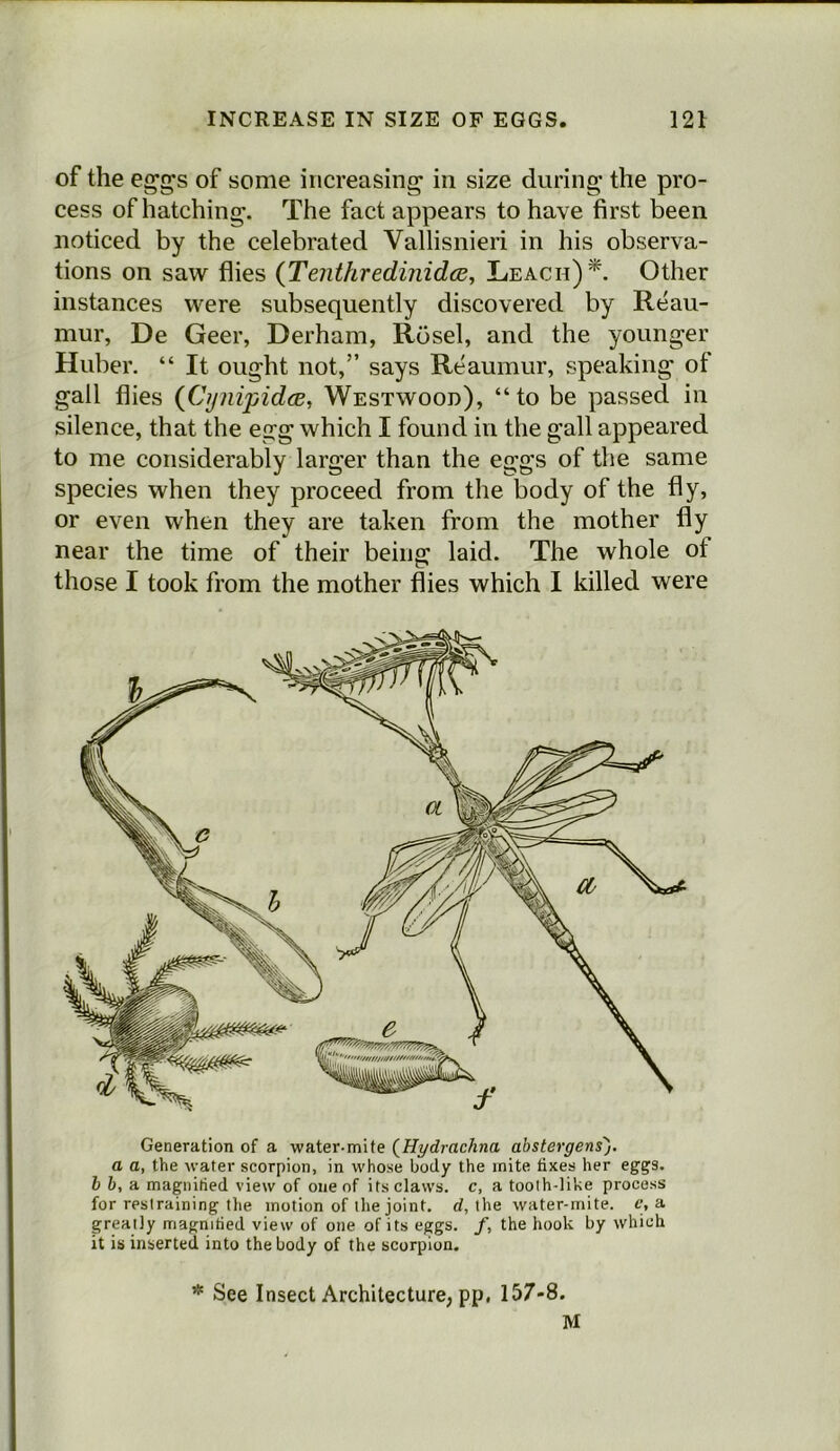 of the eg'gs of some increasing’ in size during the pro- cess of hatching. The fact appears to have first been noticed by the celebrated Vallisnieri in his observa- tions on saw flies (TenthredinidcE, Leach)*. Other instances were subsequently discovered by Reau- mur, De Geer, Derham, Rosel, and the younger Huber. “ It ought not,” says Reaumur, speaking of gall flies (C'ynipidce, Westwood), “to be passed in silence, that the egg which I found in the gall appeared to me considerably larger than the eggs of the same species when they proceed from the body of the fly, or even when they are taken from the mother fly near the time of their being laid. The whole of those I took from the mother flies which I killed were Generation of a water-mite (^Hydrachna abstergens). a a, the water scorpion, in whose body the mite fixes her eggs. b b, a. magnified view of one of its claws, c, a tooth-like process for restraining the motion of the joint, d, the water-mite, e, a greatly magnified view of one of its eggs, f, the hook by which it is inserted into the body of the scorpion. * See Insect Architecture, pp, 157-8. M