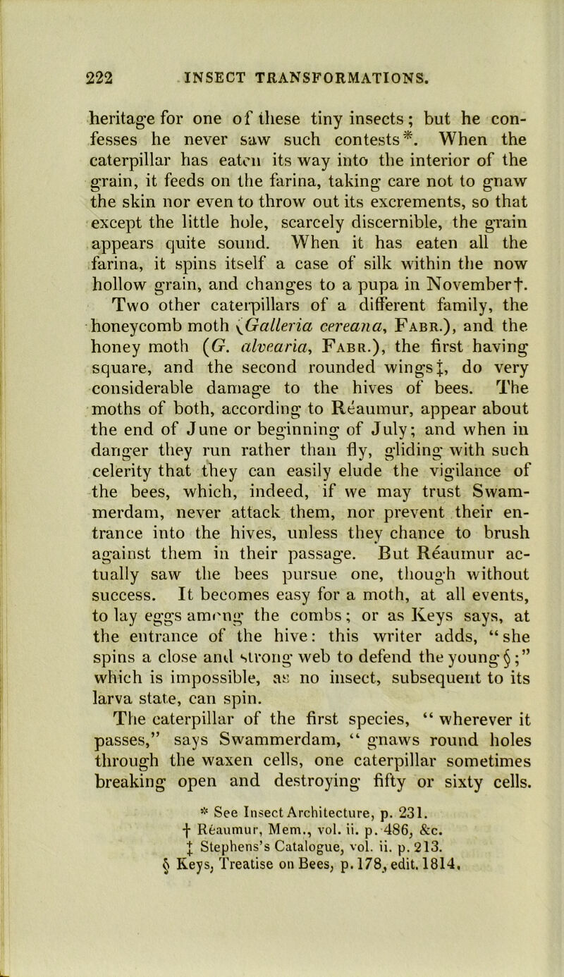 heritage for one of these tiny insects; but he con- fesses he never saw such contests^. When the caterpillar has eaten its way into the interior of the grain, it feeds on the farina, taking care not to gnaw the skin nor even to throw out its excrements, so that except the little hole, scarcely discernible, the grain appears quite sound. When it has eaten all the farina, it spins itself a case of silk within the now hollow grain, and changes to a pupa in Novembert- Two other cateipillars of a different family, the honeycomb moth {^Galleria cereana^ Fabr.), and the honey moth (G. alveana^ Fabr.), the first having square, and the second rounded wings j, do very considerable damage to the hives of bees. The moths of both, according to Reaumur, appear about the end of June or beginning of July; and when in danger they run rather than fly, gliding with such celerity that they can easily elude the vigilance of the bees, which, indeed, if we may trust Swam- merdam, never attack them, nor prevent their en- trance into the hives, unless they chance to brush against them in their passage. But Reaumur ac- tually saw the bees pursue one, though without success. It becomes easy for a moth, at all events, to lay eggs among the combs; or as Keys says, at the entrance of the hive: this writer adds, “ she spins a close and strong web to defend the young which is impossible, as no insect, subsequent to its larva state, can spin. The caterpillar of the first species, “ wherever it passes,” says Swammerdam, “ gnaws round holes through the waxen cells, one caterpillar sometimes breaking open and destroying fifty or sixty cells. * See Insect Architecture, p. 231. Reaumur, Mem., vol. ii. p. 486, &c. Stephens’s Catalogue, vol. ii. p. 213. § Keys, Treatise on Bees, p. 178, edit. 1814,