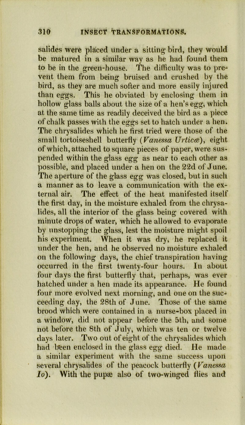 salides were placed under a sitting bird, they would be matured in a similar way as he had found them to be in the green-house. The difficulty was to pre- vent them from being bruised and crushed by the bird, as they are much softer and more easily injured than eggs. This he obviated by enclosing them in hollow glass balls about the size of a hen’s egg, which at the same time as readily deceived the bird as a piece of chalk passes with the eggs set to hatch under a hen. The chrysalides which he first tried were those of the small tortoiseshell butterfly (Variessa Urtic(E)^ eight of which, attached to square pieces of paper, were sus- pended within the glass egg as near to each other as possible, and placed under a hen on the 22d of June. The aperture of the glass egg was closed, but in such a manner as to leave a communication with the ex- ternal air. The effect of the heat manifested itself the first day, in the moisture exhaled from the chrysa- lides, all the interior of the glass being covered with minute drops of water, which he allowed to evaporate by unstopping the glass, lest the moisture might spoil his experiment. When it was dry, he replaced it under the hen, and he observed no moisture exhaled on the following days, the chief transpiration having occurred in the first twenty-four hours. In about four days the first butterfly that, perhaps, was ever hatched under a hen made its appearance. He found four more evolved next morning, and one on the suc- ceeding day, the 28th of June. Those of the same brood which were contained in a nurse-box placed in a window, did not appear before the 5th, and some not before the 8th of July, which was ten or twelve days later. Two out of eight of the chrysalides which had been enclosed in the glass egg died. He made a similar experiment with the same success upon several chrysalides of the peacock butterfly {Vanef^sa lo). With the pupse also of two-winged flies and