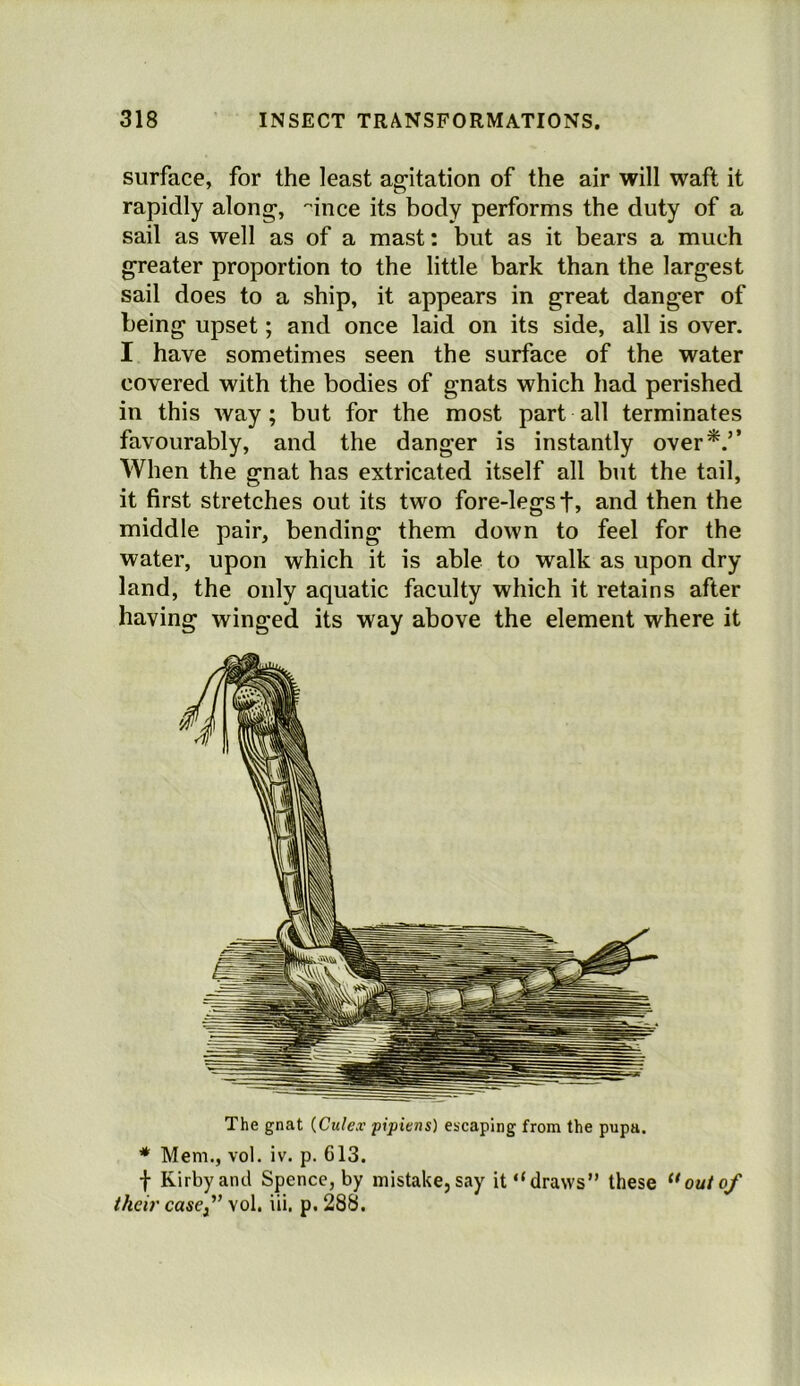 surface, for the least agitation of the air will waft it rapidly along, '^ince its body performs the duty of a sail as well as of a mast: but as it bears a much greater proportion to the little bark than the largest sail does to a ship, it appears in great danger of being upset; and once laid on its side, all is over. I have sometimes seen the surface of the water covered with the bodies of gnats which had perished in this way; but for the most part all terminates favourably, and the danger is instantly over*.’’ When the gnat has extricated itself all but the tail, it first stretches out its two fore-legs t, and then the middle pair, bending them down to feel for the water, upon which it is able to walk as upon dry land, the only aquatic faculty which it retains after having winged its way above the element where it The gnat {Culex pipiens) escaping from the pupa. * Mem., vol. iv. p. 613. f Kirby and Spence, by mistake, say it “draws” these ^*outof their cascj’ vol. iii. p. 288.