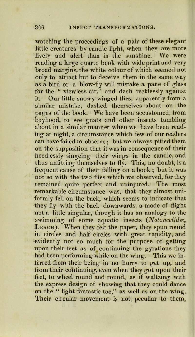 watching the proceedings of a pair of these elegant little creatures by candle-light, when they are more lively and alert than in the sunshine. We were reading a large quarto book with wide print and very broad margins, the white colour of w'hich seemed not only to attract but to deceive them in the same way as a bird or a blow-fly will mistake a pane of glass for the “ viewless air,” and dash recklessly against it. Our little snowy-winged flies, apparently from a similar mistake, dashed themselves about on the pages of the book. We have been accustomed, from boyhood, to see gnats and other insects tumbling about in a similar manner when we have been read- ing at night, a circumstance which few of our readers can have failed to observe; but we always pitied them on the supposition that it was in consequence of their heedlessly singeing their wings in the candle, and thus unfitting themselves to fly. This, no doubt, is a frequent cause of their falling on a book ; but it was not so with the two flies which we observed, for they remained quite perfect and uninjured. The most remarkable circumstance was, that they almost uni- formly fell on the back, which seems to indicate that they fly with the back downwards, a mode of flight not a little singular, though it has an analogy to the swimming of some aquatic insects (Notonectidee, Leach). When they felt the paper, they spun round in circles and half circles with great rapidity, and evidently not so much for the purpose of getting upon their feet as of^ continuing the gyrations they had been performing while on the wing. This we in- ferred from their being in no hurry to get up, and from their cohtinuing, even when they got upon their feet, to wheel round and round, as if waltzing with the express design of showing that they could dance on the “ light fantastic toe,” as well as on the wing. Their circular movement is not peculiar to them,