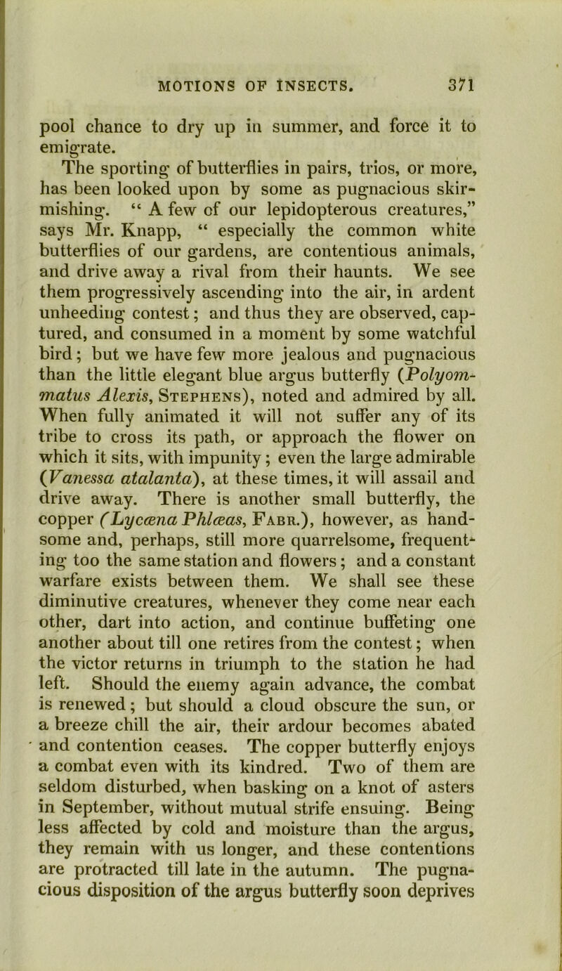 pool chance to dry up in summer, and force it to emigTate. The sporting of butterflies in pairs, trios, or more, has been looked upon by some as pugnacious skir- mishing. “ A few of our lepidopterous creatures,” says Mr. Knapp, “ especially the common white butterflies of our gardens, are contentious animals, and drive away a rival from their haunts. We see them progressively ascending into the air, in ardent unheeding contest; and thus they are observed, cap- tured, and consumed in a moment by some watchful bird; but we have few more jealous and pugnacious than the little elegant blue argus butterfly {Polyom- matus Alexis, Stephens), noted and admired by all. When fully animated it will not suffer any of its tribe to cross its path, or approach the flower on which it sits, with impunity; even the large admirable {Vanessa atalantd), at these times, it will assail and drive away. There is another small butterfly, the copper (Lyccena Phleeas, Fabr.), however, as hand- some and, perhaps, still more quarrelsome, frequent-^ ing too the same station and flowers; and a constant warfare exists between them. We shall see these diminutive creatures, whenever they come near each other, dart into action, and continue buffeting one another about till one retires from the contest; when the victor returns in triumph to the station he had left. Should the enemy again advance, the combat is renewed; but should a cloud obscure the sun, or a breeze chill the air, their ardour becomes abated and contention ceases. The copper butterfly enjoys a combat even with its kindred. Two of them are seldom disturbed, when basking on a knot of asters in September, without mutual strife ensuing. Being less affected by cold and moisture than the argus, they remain with us longer, and these contentions are protracted till late in the autumn. The pugna- cious disposition of the argus butterfly soon deprives