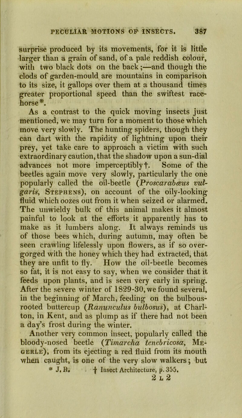 surprise produced by its movements, for it is little larger than a grain of sand, of a pale reddish colour, with two black dots on the back;—and though the clods of garden-mould are mountains in comparison to its size, it gallops over them at a thousand times greater proportional speed than the swiftest race- horse*. As a contrast to the quick moving insects just mentioned, we may turn for a moment to those which move very slowly. The hunting spiders, though they can dart with the rapidity of lightning upon their prey, yet take care to approach a victim with such extraordinary caution, that the shadow upon a sun-dial advances not more imperceptibly t- Some of the beetles again move very slowly, particularly the one popularly called the oil-beetle {Proscarahceus vul- garis, Stephens), on account of the oily-looking fluid which oozes out from it when seized or alarmed. The unwieldy bulk of this animal makes it almost painful to look at the efforts it apparently has to make as it lumbers along. It always reminds us of those bees which, during autumn, may often be seen crawling lifelessly upon flowers, as if so over- gorged with the honey which they had extracted, that they are unfit to fly. How the oil-beetle becomes so fat, it is not easy to say, when we consider that it feeds upon plants, and is seen very early in spring. After the severe winter of 1829-30, we found several, in the beginning of March, feeding on the bulbous- rooted buttercup {Ranunculus bulbosus), at Charl- ton, in Kent, and as plump as if there had not been a day’s frost during the winter. Another very common insect, popularly called the bloody-nosed beetle {Timarcha tenebricosa, Me- gerle), from its ejecting a red fluid from its mouth when caiight, is one of the very slow walkers; but * J. R, - f Insect Architecture, p. 355, 2 L 2