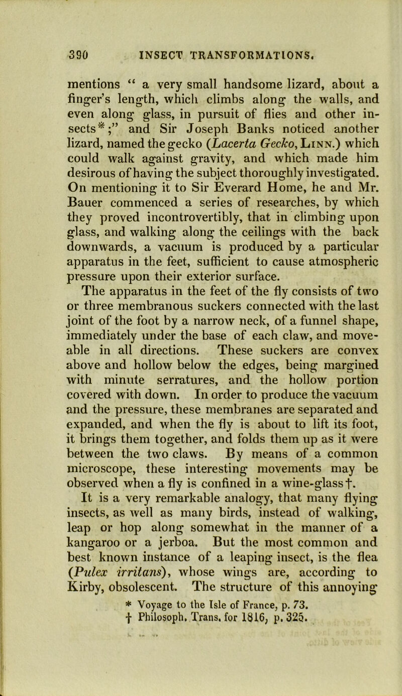 mentions “ a very small handsome lizard, about a fing-er’s length, which climbs along the walls, and even along glass, in pursuit of flies and other in- sects*;” and Sir Joseph Banks noticed another lizard, named the gecko {Lacerta GecAro, Linn.) which could walk against gravity, and which made him desirous of having the subject thoroughly investigated. On mentioning it to Sir Everard Home, he and Mr. Bauer commenced a series of researches, by which they proved incontrovertibly, that in climbing upon glass, and walking along the ceilings with the back downwards, a vacuum is produced by a particular apparatus in the feet, sufficient to cause atmospheric pressure upon their exterior surface. The apparatus in the feet of the fly consists of two or three membranous suckers connected with the last joint of the foot by a narrow neck, of a funnel shape, immediately under the base of each claw, and move- able in all directions. These suckers are convex above and hollow below the edges, being margined with minute serratures, and the hollow portion covered with down. In order to produce the vacuum and the pressure, these membranes are separated and expanded, and when the fly is about to lift its foot, it brings them together, and folds them up as it were between the two claws. By means of a common microscope, these interesting movements may be observed when a fly is confined in a wine-glass t. It is a very remarkable analogy, that many flying insects, as well as many birds, instead of walking, leap or hop along somewhat in the manner of a kangaroo or a jerboa. But the most common and best known instance of a leaping insect, is the flea (Pulex irritans)^ whose wings are, according to Kirby, obsolescent. The structure of this annoying * Voyage to the Isle of France, p. 73. f Philosoph, Trans, for 1816, p. 325.