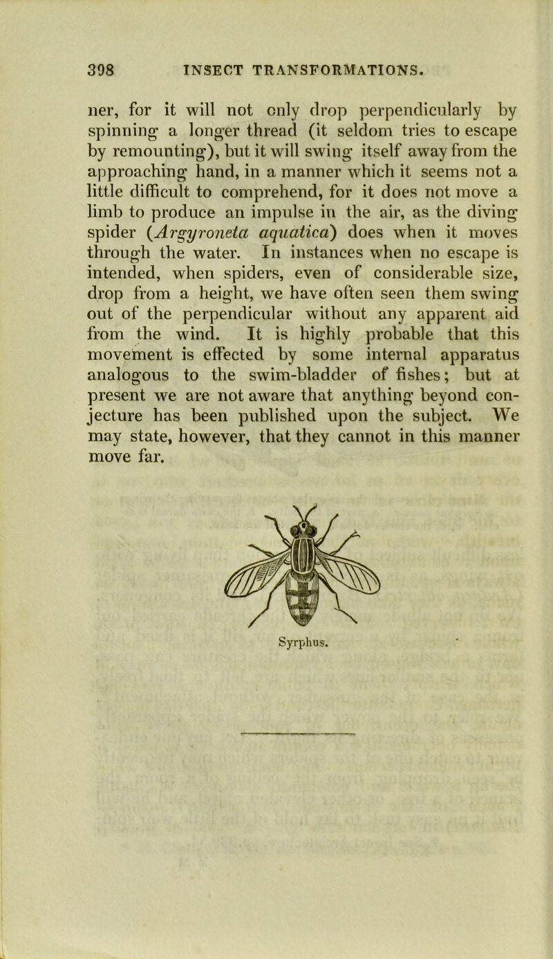 iier, for it will not only drop perpendicularly by spinning a longer thread (it seldom tries to escape by remounting), but it will swing itself away from the approaching hand, in a manner which it seems not a little difficult to comprehend, for it does not move a limb to produce an impulse in the air, as the diving spider {Argyroneta aquaticd) does when it moves through the water. In instances when no escape is intended, when spiders, even of considerable size, drop from a height, we have often seen them swing out of the perpendicular without any apparent aid from the wind. It is highly probable that this movement is effected by some internal apparatus analogous to the swim-bladder of fishes; but at present we are not aware that anything beyond con- jecture has been published upon the subject. We may state, however, that they cannot in this manner move far. Syrphus.