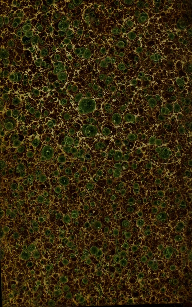 digitised image 2