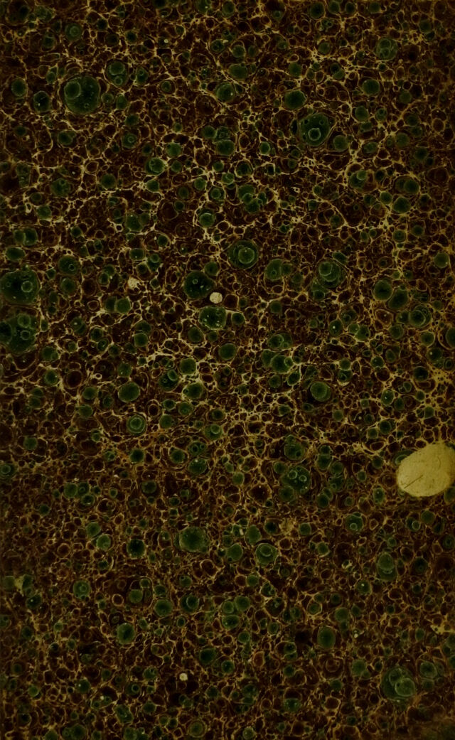 digitised image 3
