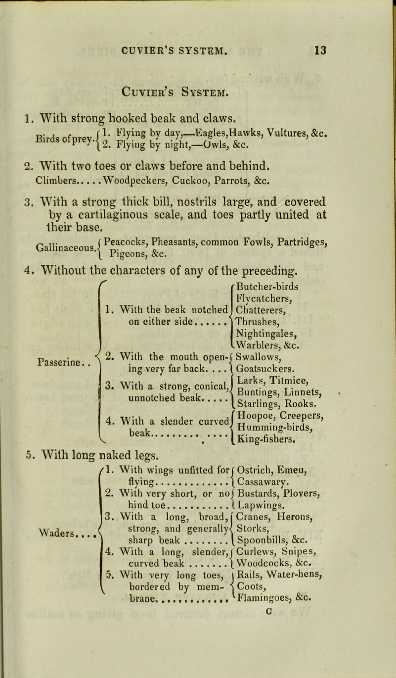 Cuvier’s System. 1. With strong hooked beak and claws. 1. Flying by day,—Eagles,Hawks, Vultures, &c. Flying by night,—Owls, &c. Birds ofprey.j^; Passerine. 2. With two toes or claws before and behind. Climbers Woodpeckers, Cuckoo, Parrots, &c. 3. With a strong thick bill, nostrils large, and covered by a cartilaginous scale, and toes partly united at their base. n ... ( Peacocks, Pheasants, common Fowls, Partridges, LlcUlinaCGOUS.< tv o \ Pigeons, &c. 4. Without the characters of any of the preceding. S' (Butcher-birds Flycatchers, 1. With the beak notched I Chatterers,, on either side (Thrushes, I Nightingales, IWarblers, &c. \ 2. With the mouth open-f Swallows, ing very far back. . ..{ Goatsuckers. 3. With a strong, conical,) ^itniice, . , . if , ’< Buntings, Linnets, unnotched beak | e, .. b ’ r> , ’ f Starlings, Rooks. , , , f Hoopoe, Creepers, slender curved) TT 1 ■ , • V t Humming-birds, .****(_ King-fishers. 5. With long naked legs. (1. With wings unfitted fort Ostrich, Emeu, flying \Cassawary. 2. With very short, or no] Bustards, Plovers, hind toe I Lapwings. 3. With a long, broad, | Cranes, Herons, strong, and generaliy< Storks, sharp beak f Spoonbills, &c. With a long, slender,j Curlews, Snipes, curved beak (Woodcocks, &c. With very long toes, I Rails, Water-hens, bordered by mem- v Coots, brane. '■Flamingoes, &c. C l 4. With a beak. Waders 5. . . • ^ 5.
