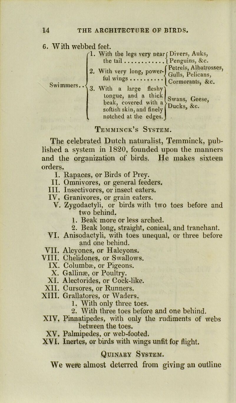 6. With webbed feet. r\. With the legs very nearf Divers, Auks, the tail [Penguins, &c. 0 , (Petrels, Albatrosses, 2. With very long, power-1 QllI1 |>elic lul wings 3. With a large fleshy' tongue, and a thick beak, covered with a a!13’ softish skin, and finely | UC Sj C‘ notched at the edges.J Swi mmers.. < Cormorants, &c. w * Swans, Geese, Temminck’s System. The celebrated Dutch naturalist, Temminck, pub- lished a system in 1820, founded upon the manners and the organization of birds. He makes sixteen orders. I. Rapaces, or Birds of Prey. II. Omnivores, or general feeders. III. Insectivores, or insect eaters. IV. Granivores, or grain eaters. Y. Zygodactyli, or birds with two toes before and two behind. 1. Beak more or less arched. 2. Beak long, straight, conical, and tranchant. VI. Anisodactyli, with toes unequal, or three before and one behind. VII. Alcyones, or Halcyons. VIII. Chelidones, or Swallows. IX. Columbse, or Pigeons. X. Gallinae, or Poultry. XI. Alectorides, or Cock-like. XII. Cursores, or Runners. XIII. Grallatores, or Waders. 1. With only three toes. 2. With three toes before and one behind. XIV. Pinnatipedes, with only the rudiments of webs between the toes. XV. Palmipedes, or web-footed. XVI. Inertes, or birds with wings unfit for flight. Quinary System. We were almost deterred from giving an outline