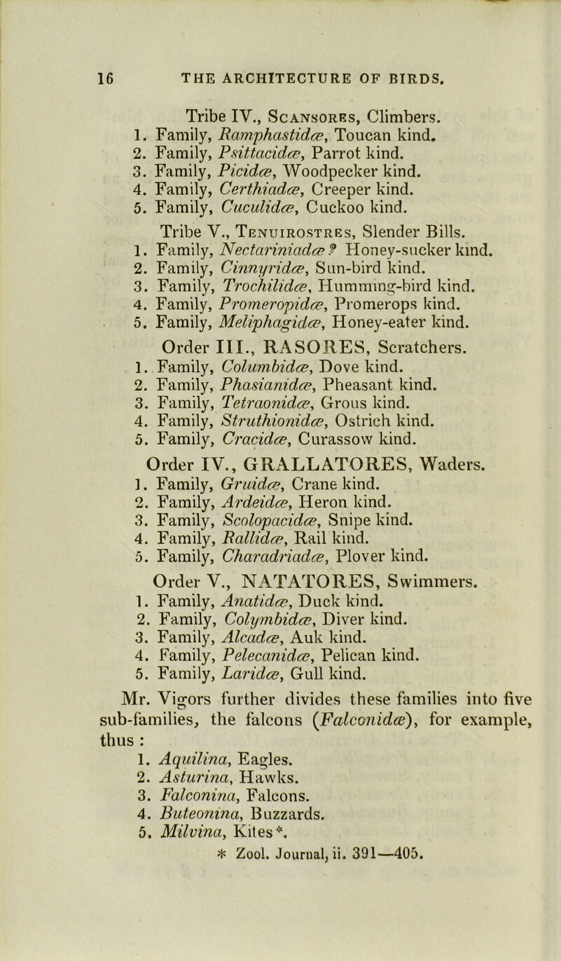 Tribe IV., Scansores, Climbers. 1. Family, Ramphastidce, Toucan kind. 2. Family, Psittacidce, Parrot kind. 3. Family, Picidce, Woodpecker kind. 4. Family, Certhiadce, Creeper kind. 5. Family, Cuculidcc, Cuckoo kind. Tribe V., Tenuirostres, Slender Bills. 1. Family, Nectariniadce ? Honey-sucker kind. 2. Family, Cinnyridce, Sun-bird kind. 3. Family, Trochilidce, Humming-bird kind. 4. Family, Promeropida?, Promerops kind. 5. Family, MeiiphagidfZ, Honey-eater kind. Order III., RASORES, Scratchers. 1. Family, Columbidce, Dove kind. 2. Family, Phasianidce, Pheasant kind. 3. Family, Tetraonidce, Grous kind. 4. Family, Struthionidce, Ostrich kind. 5. Family, Cracidce, Curassow kind. Order IV., GRALLATORES, Waders. 1. Family, Gruida?, Crane kind. 2. Family, Ardeidce, Heron kind. 3. Family, Scolopcicidcz, Snipe kind. 4. Family, Rallidce, Rail kind. 5. Family, Charadriadce, Plover kind. Order V., NATATORES, Swimmers. 1. Family, Anatidce, Duck kind. 2. Family, Colymbidce, Diver kind. 3. Family, Alccidce, Auk kind. 4. Family, Pelecanidce, Pelican kind. 5. Family, Laridce, Gull kind. Mr. Vigors further divides these families into five sub-families, the falcons {Falconidee), for example, thus : 1. Aquilina, Eagles. 2. Asturina, Hawks. 3. Falconina, Falcons. 4. Buteonina, Buzzards. 5. Miluina, Kites *. * Zool. Journal, ii. 391—405.